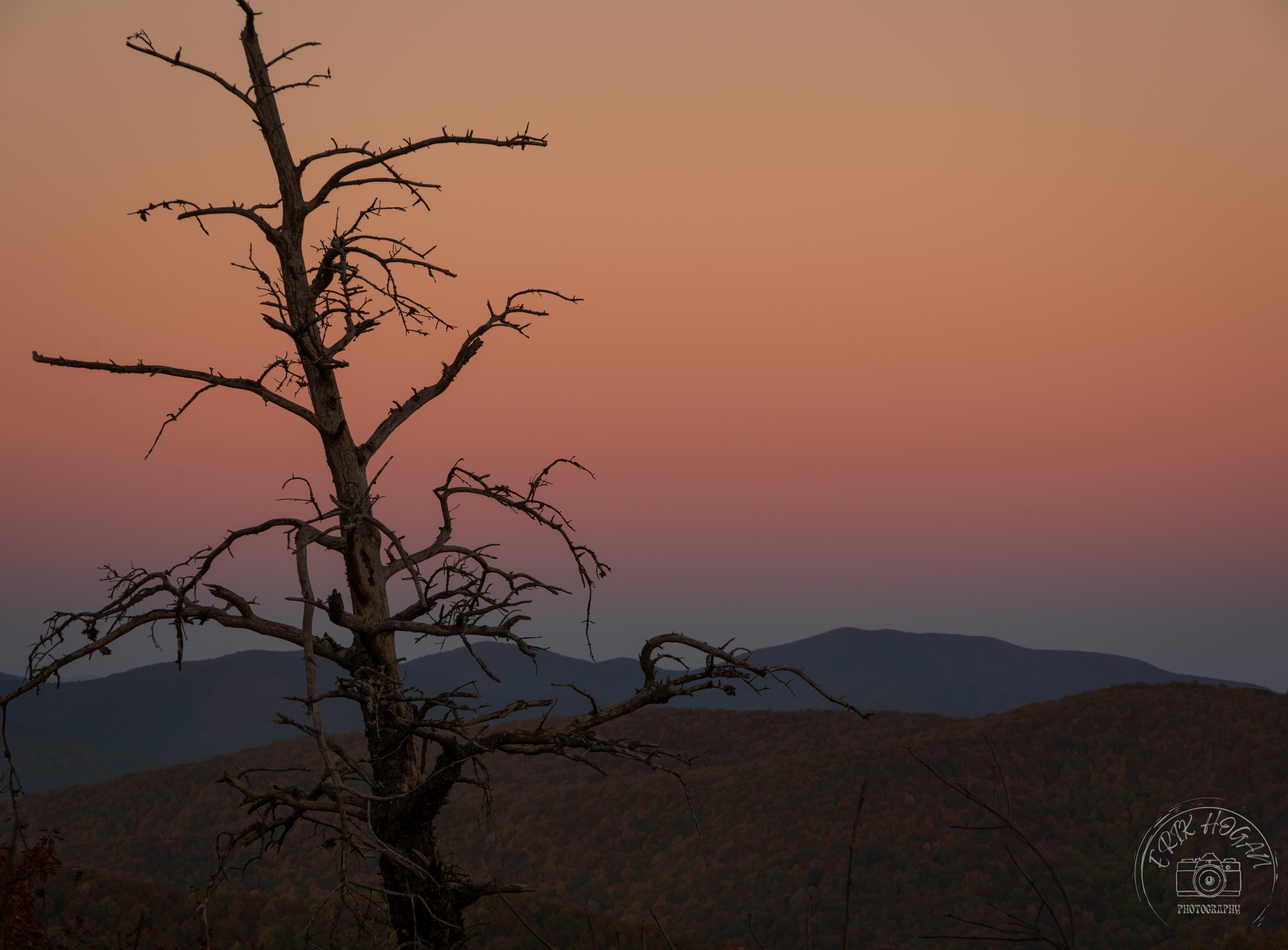 Wolf Laurel Top October 2022   VII