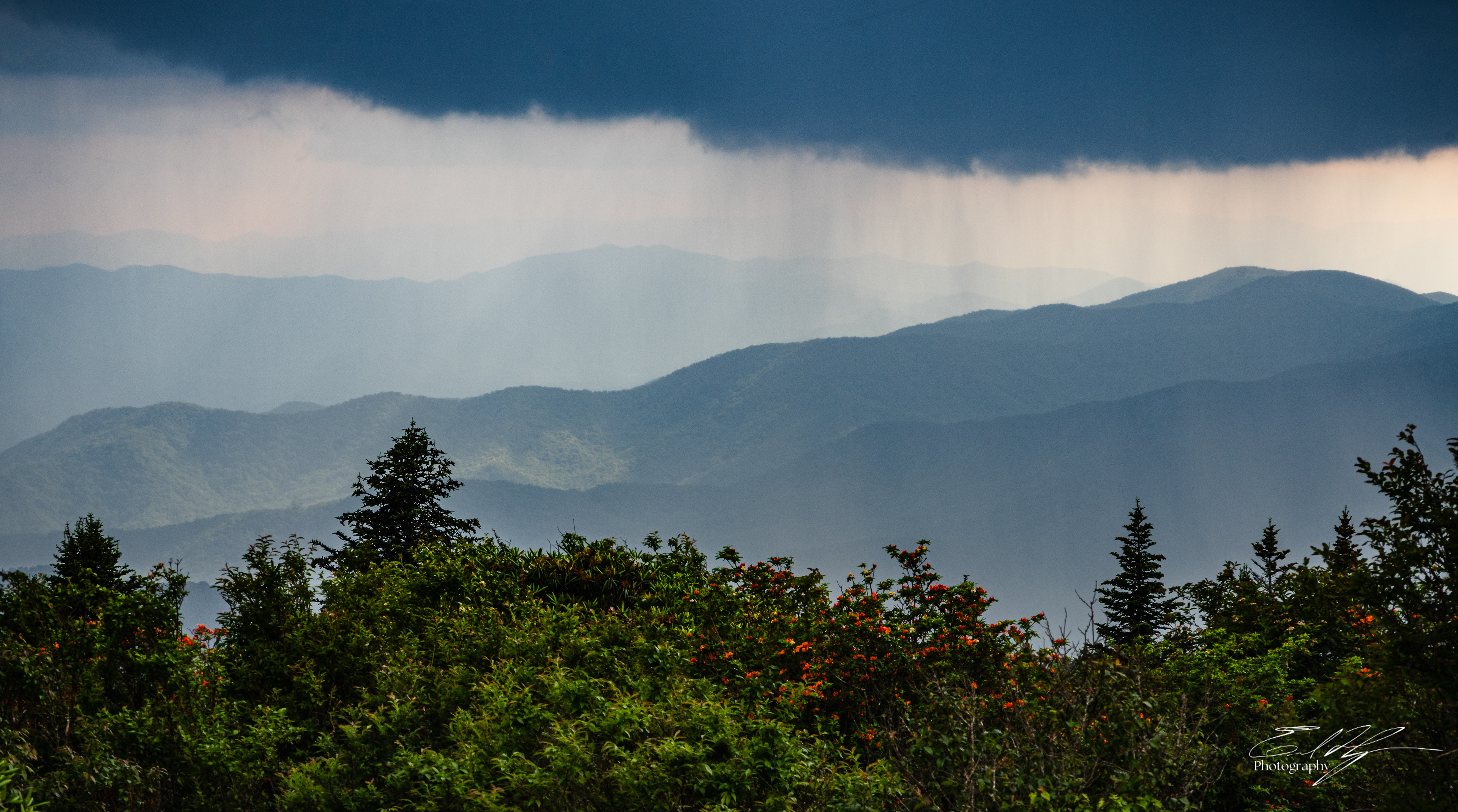 Andrew's Bald June 2025 XIV