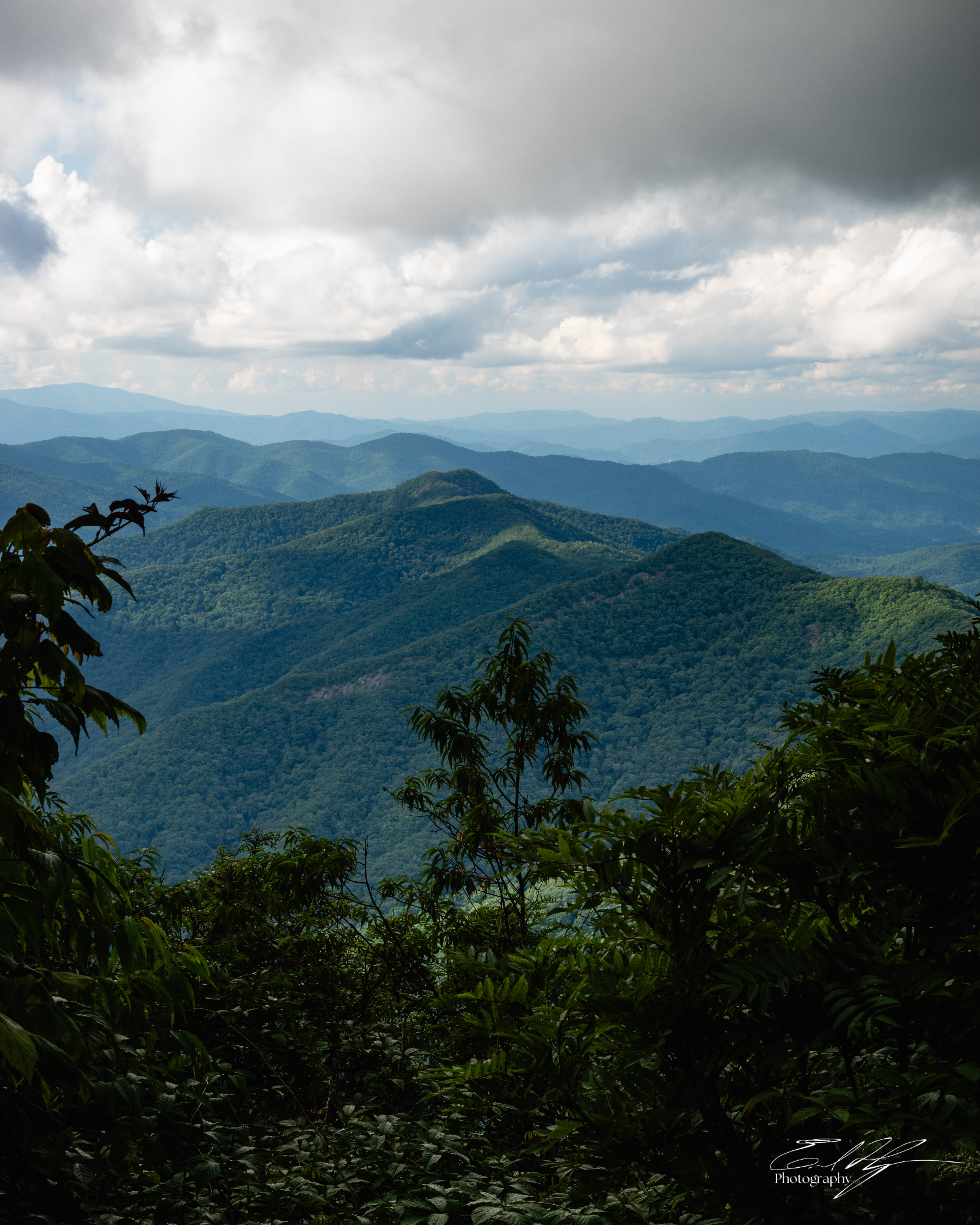 Sam Knob August 2025 III