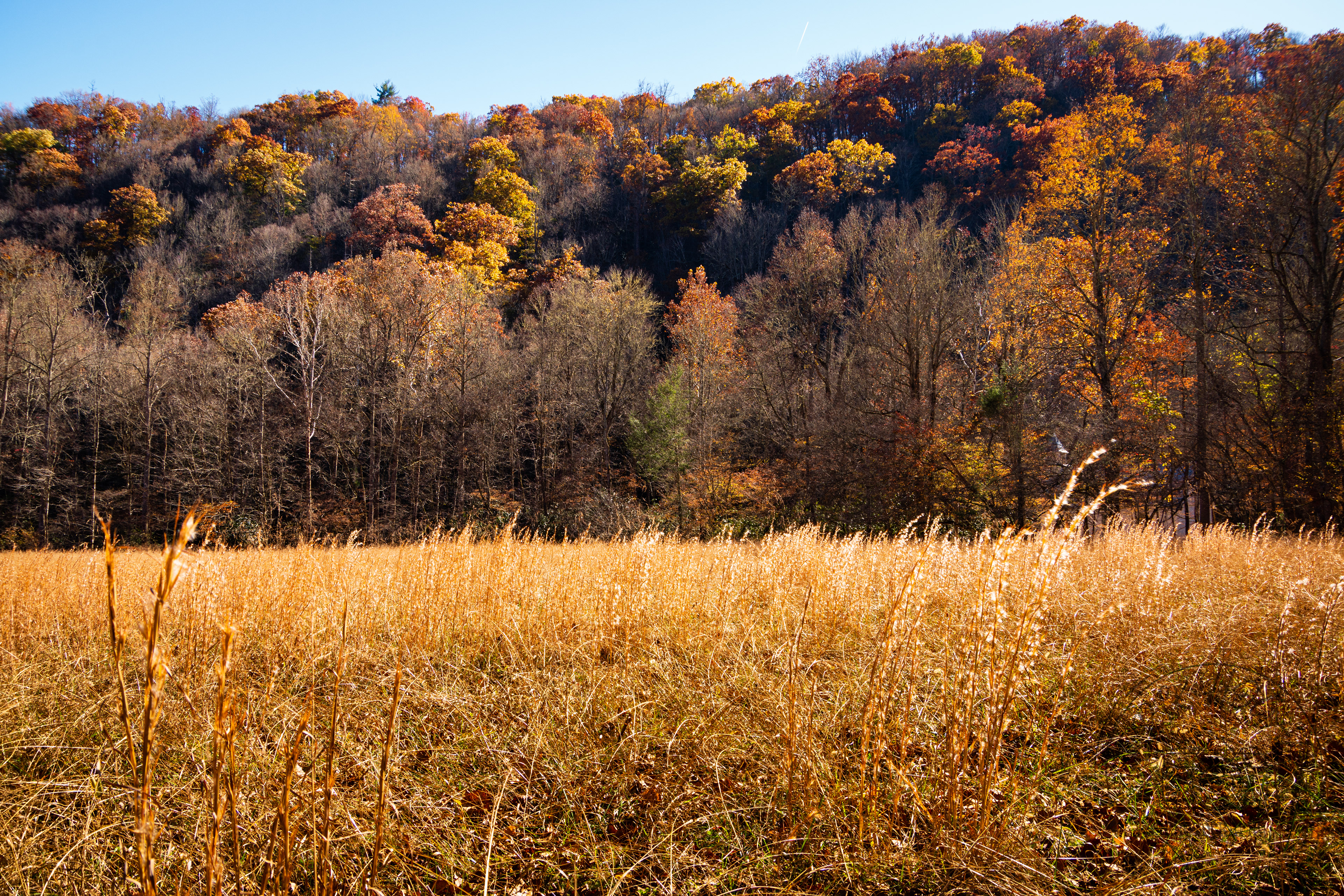Cataloochee Valley October 2022   I