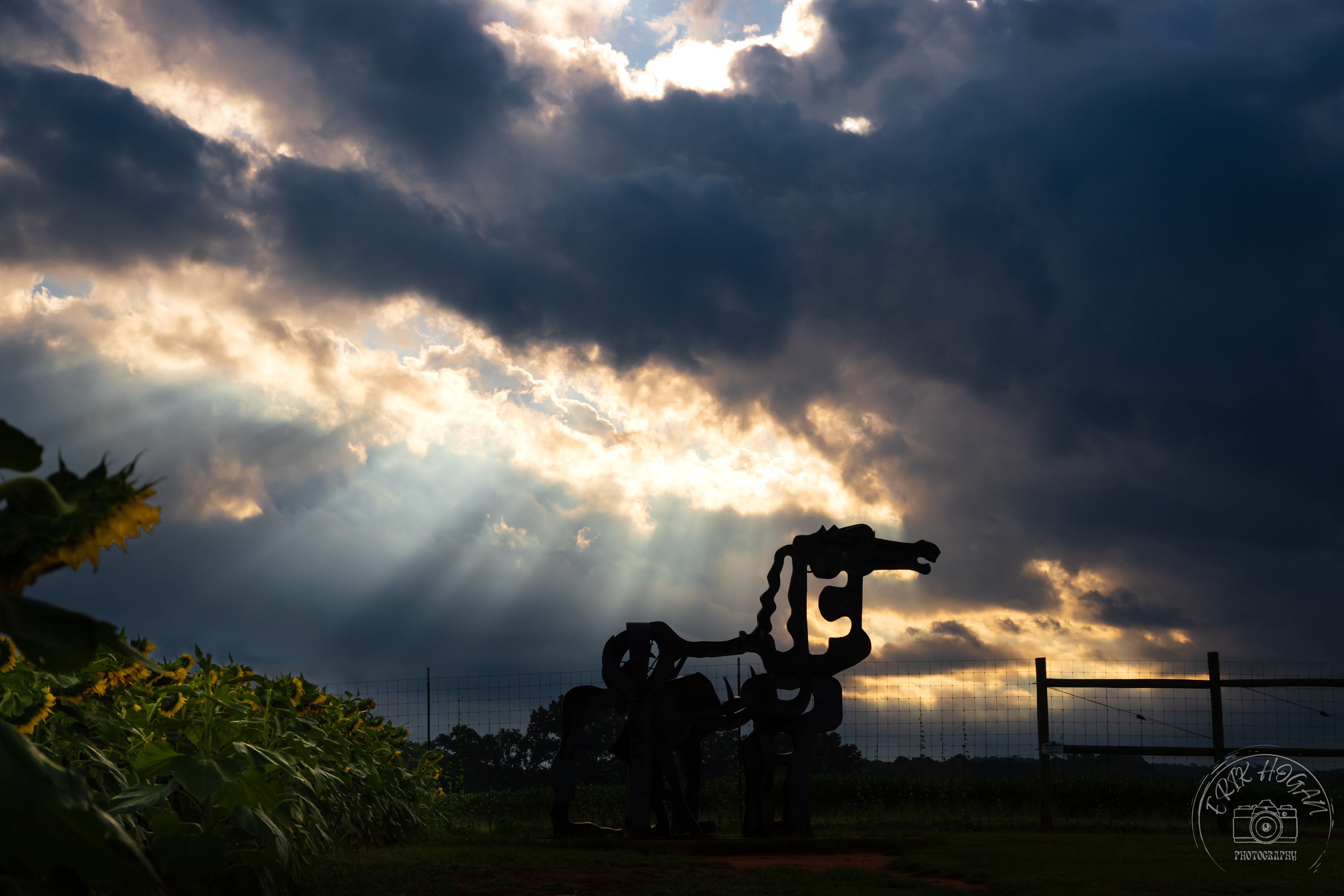 Sunrise at the Iron Horse September 2022