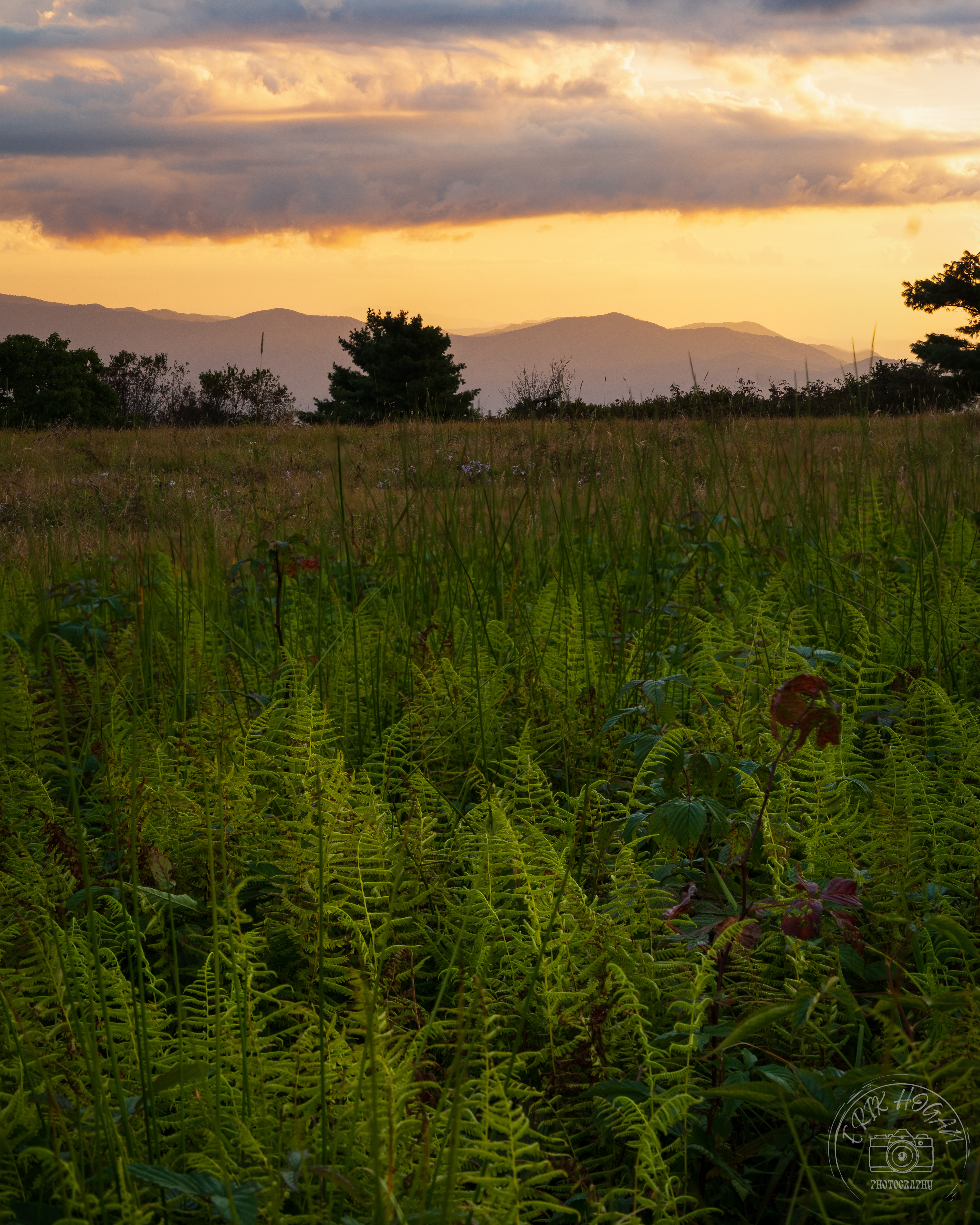 Gregory Bald September 2023   VI