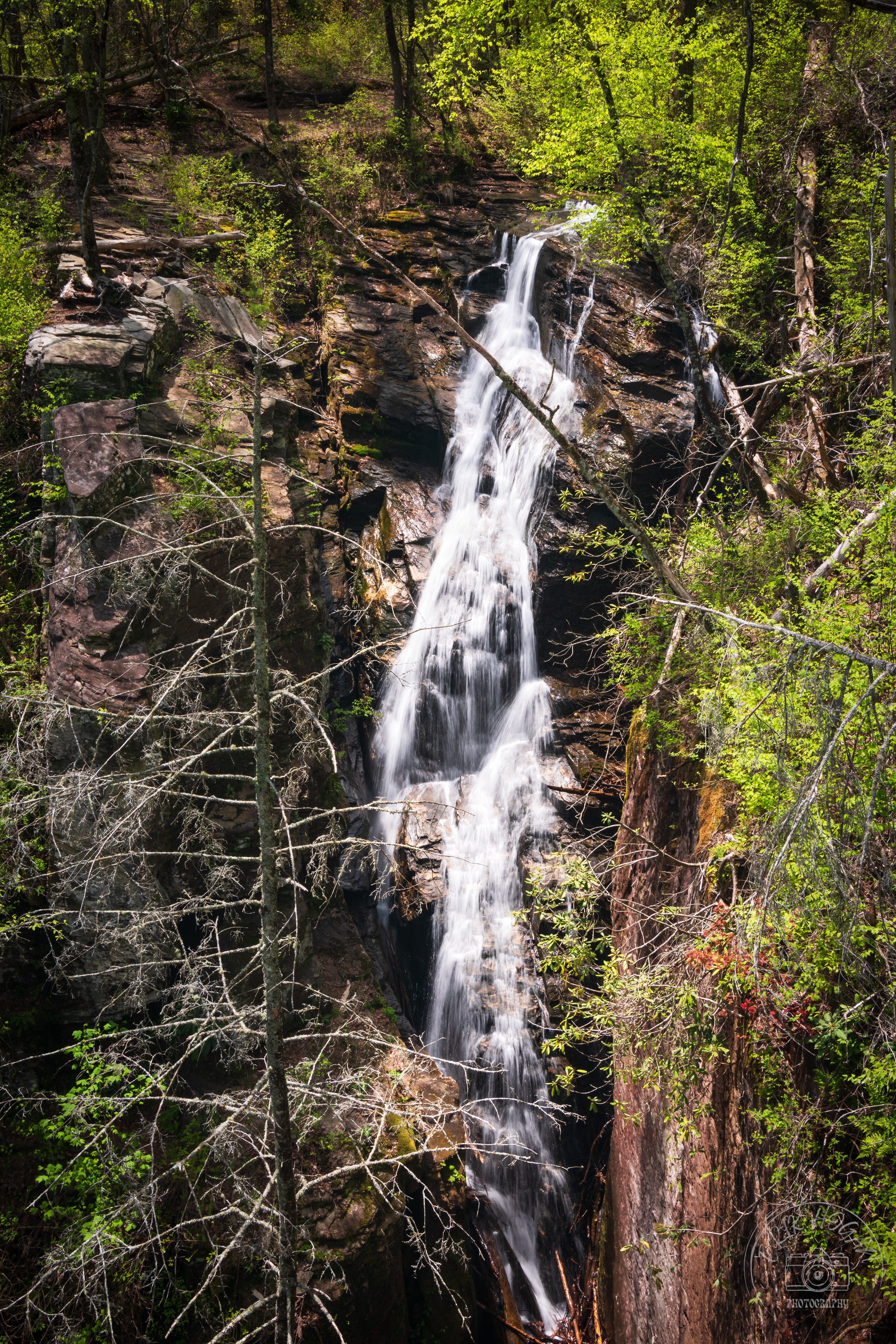 Raven Cliff Falls April 2023   IV