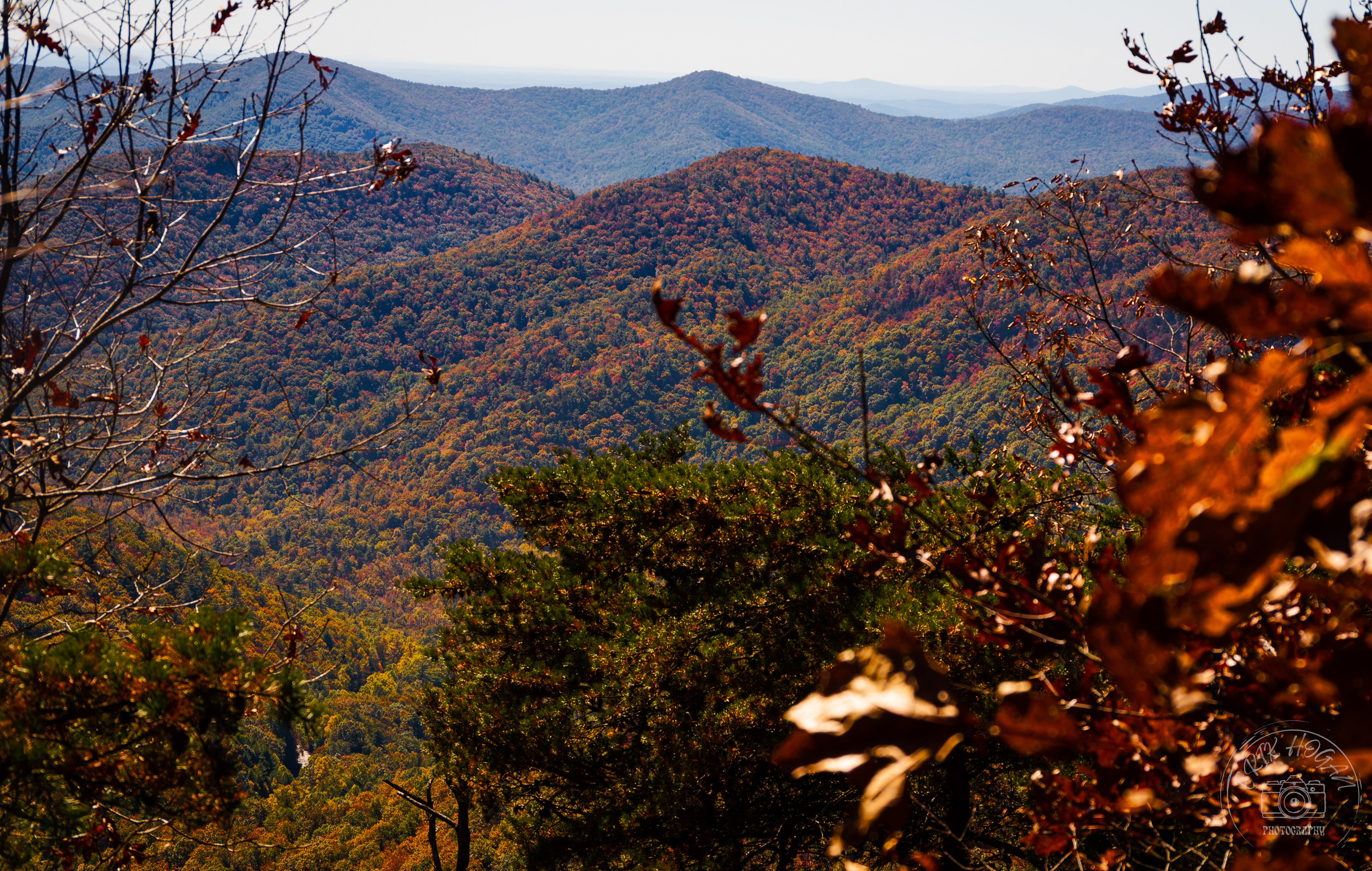 Wolf Laurel Top October 2022   I