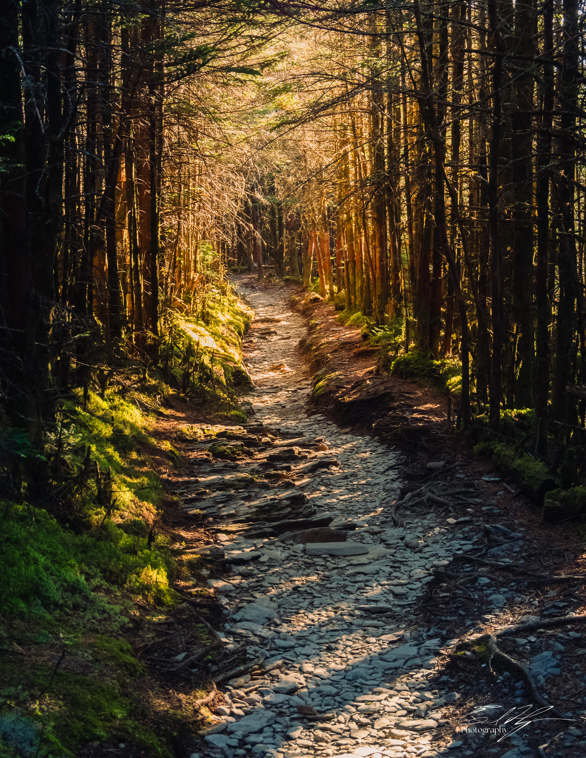 Mount LeConte October 2024   VI