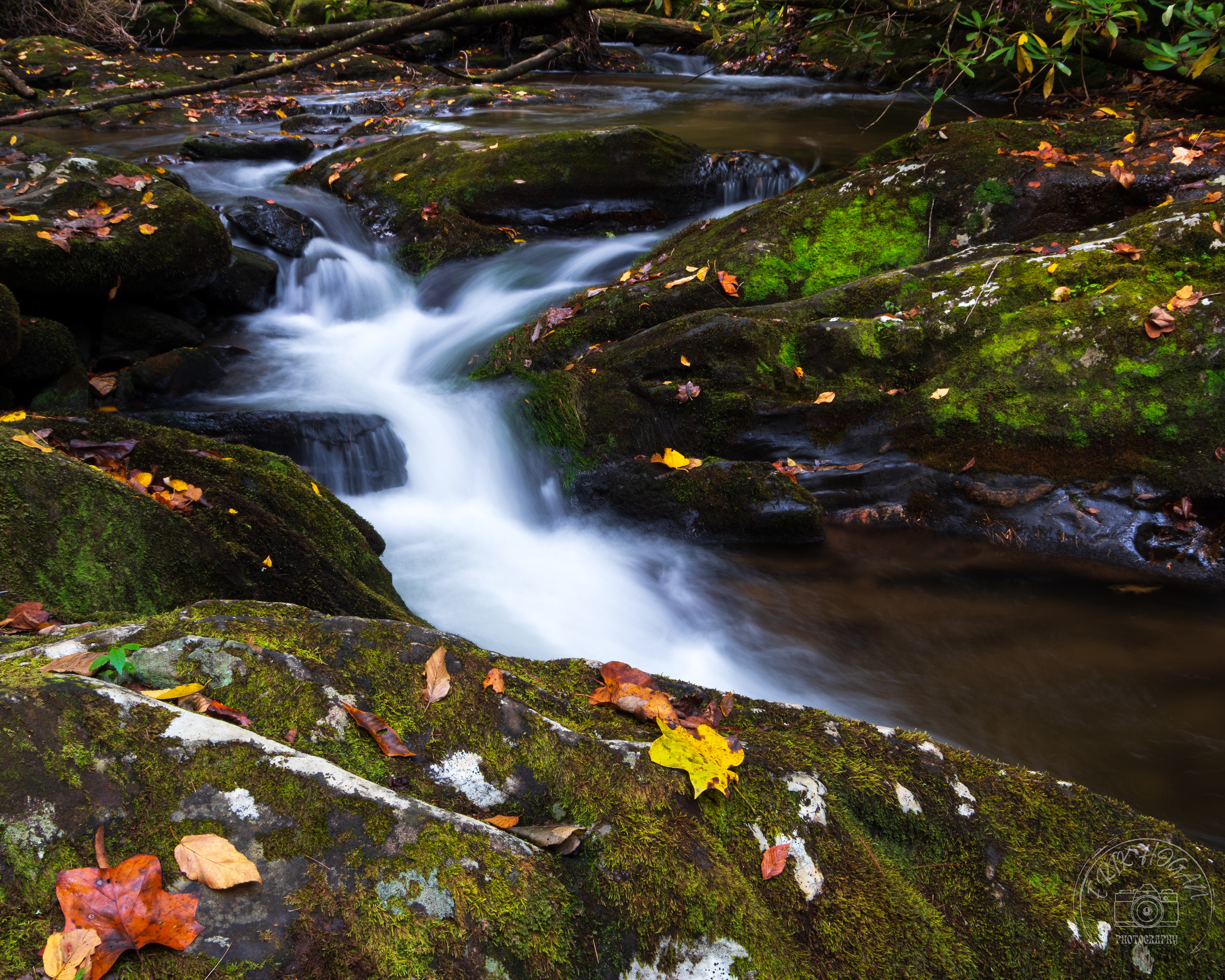 Moccasin Creek October 2023   I