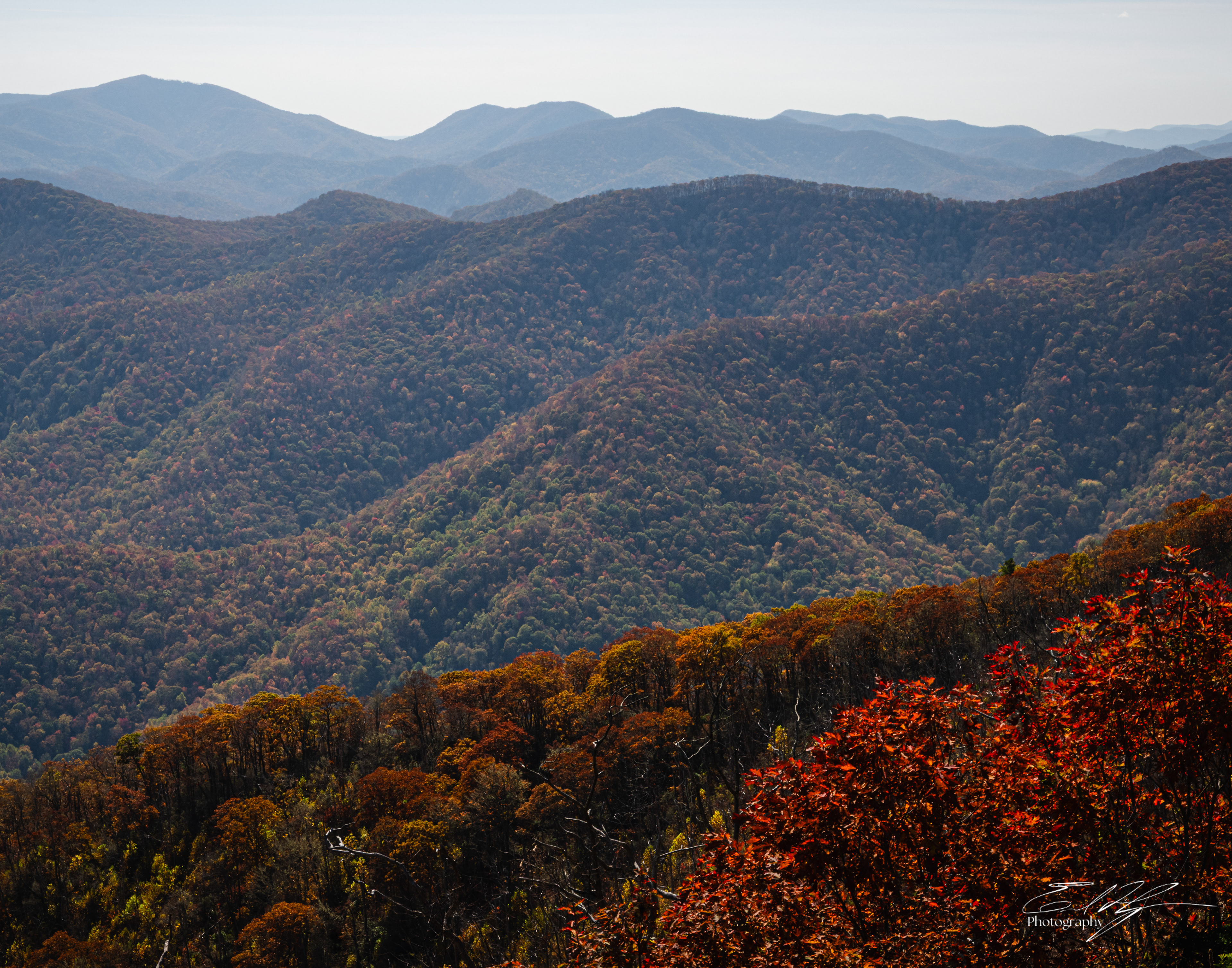 Day 5  Wayah Bald IV