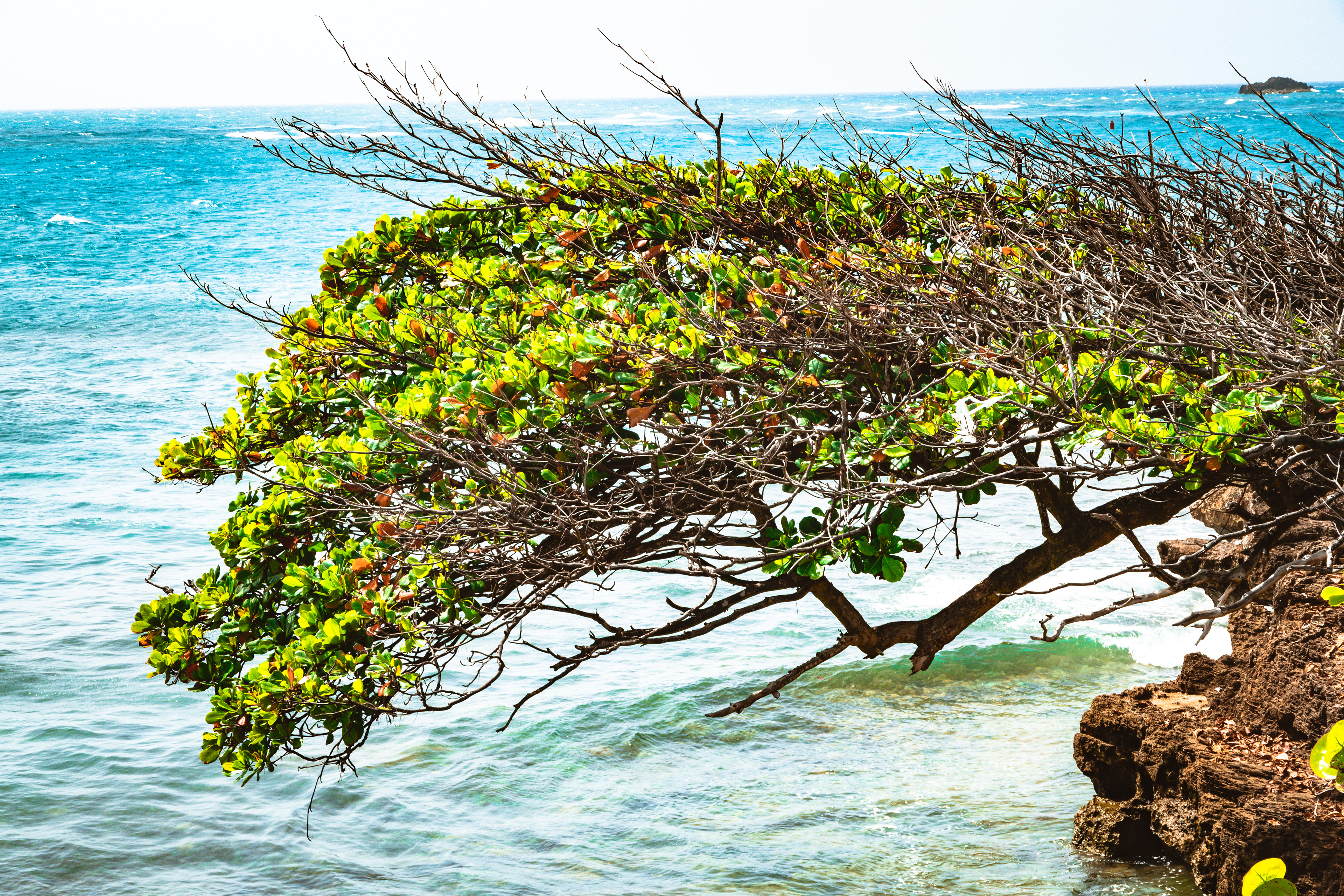 Parque San Felipe July 2021   VI