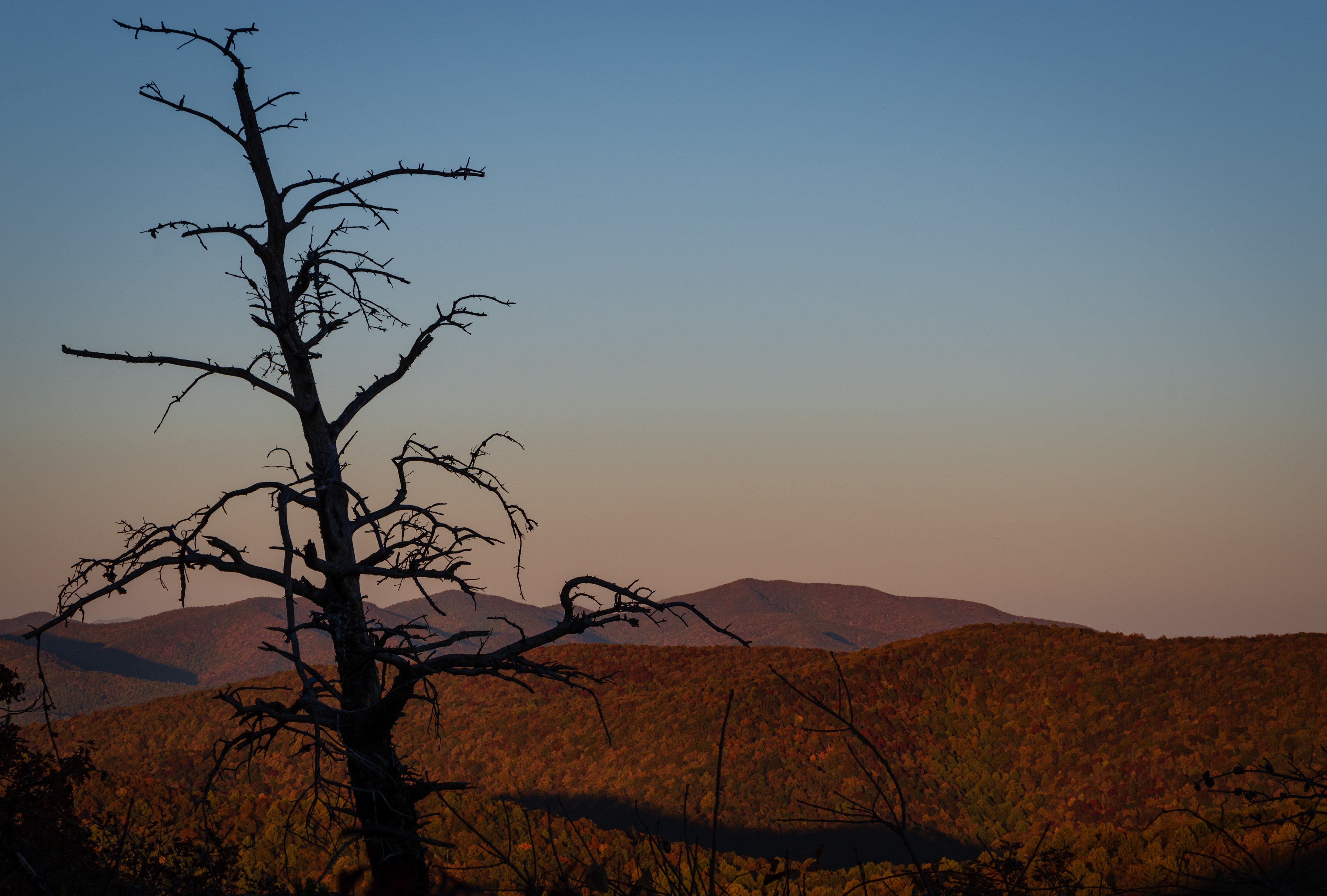 Wolf Laurel Top October 2022   V