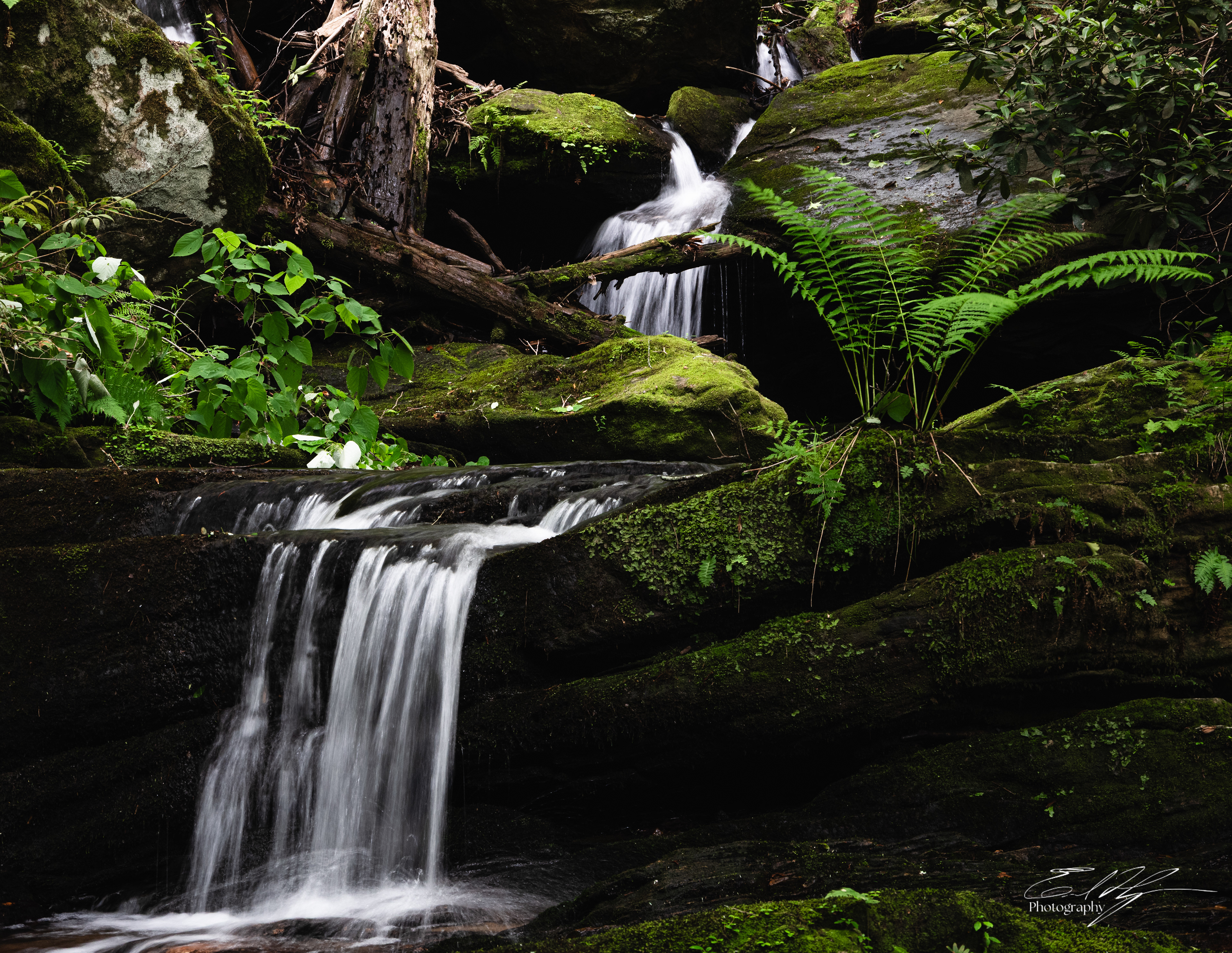 Opossum Creek Falls May 2025   IV
