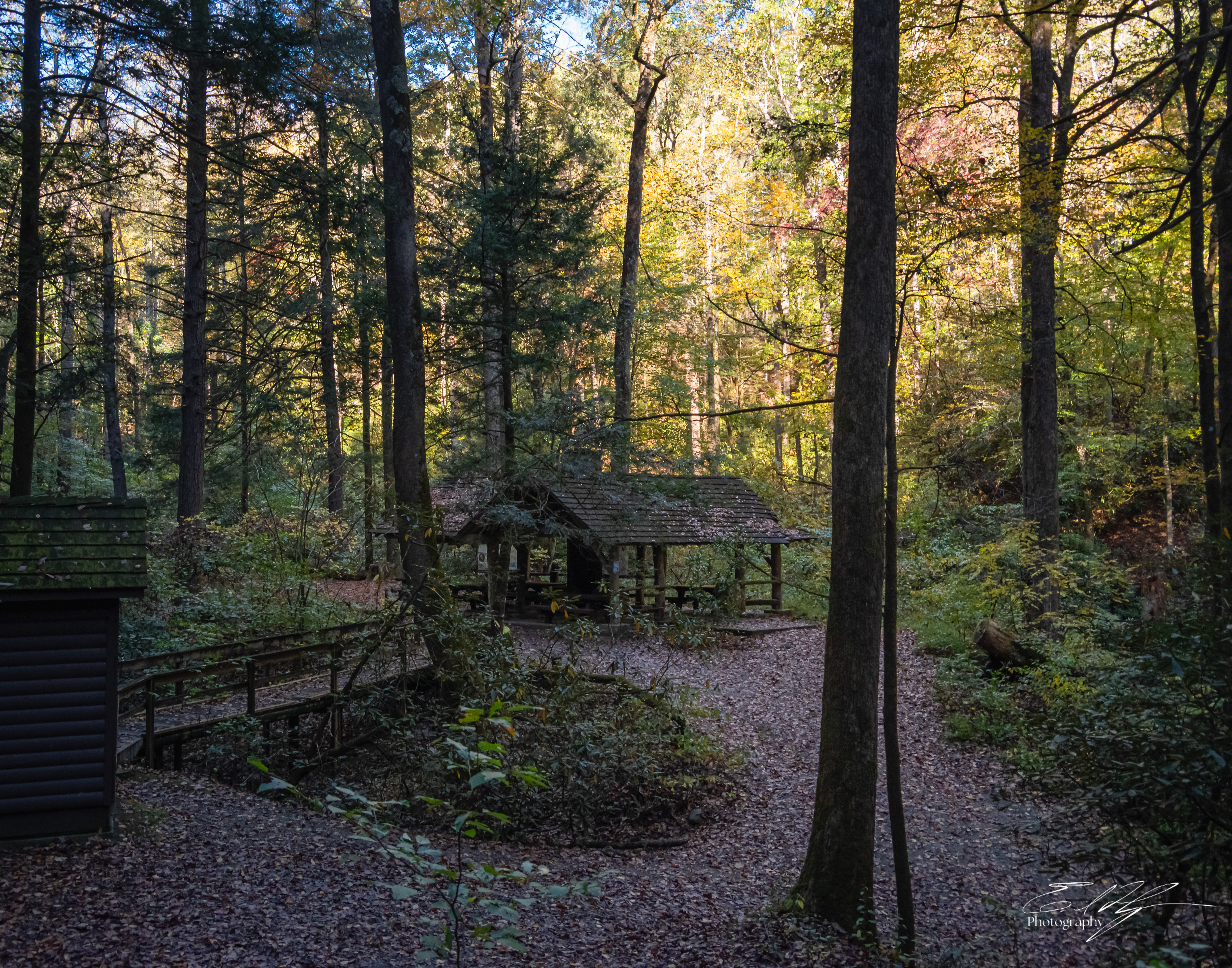 Day 2  Warwoman Dell