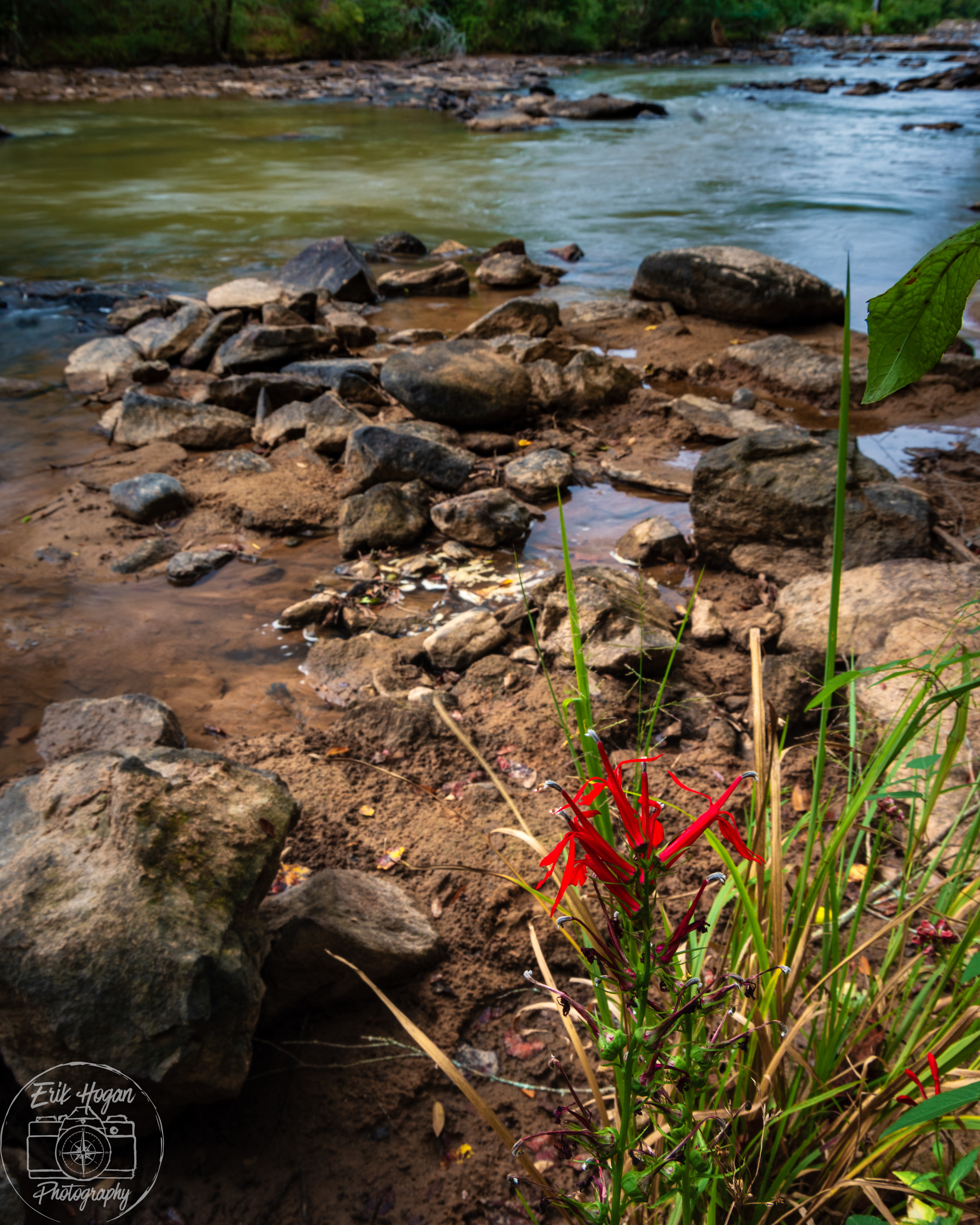 Ben Burton Park September 2024   III