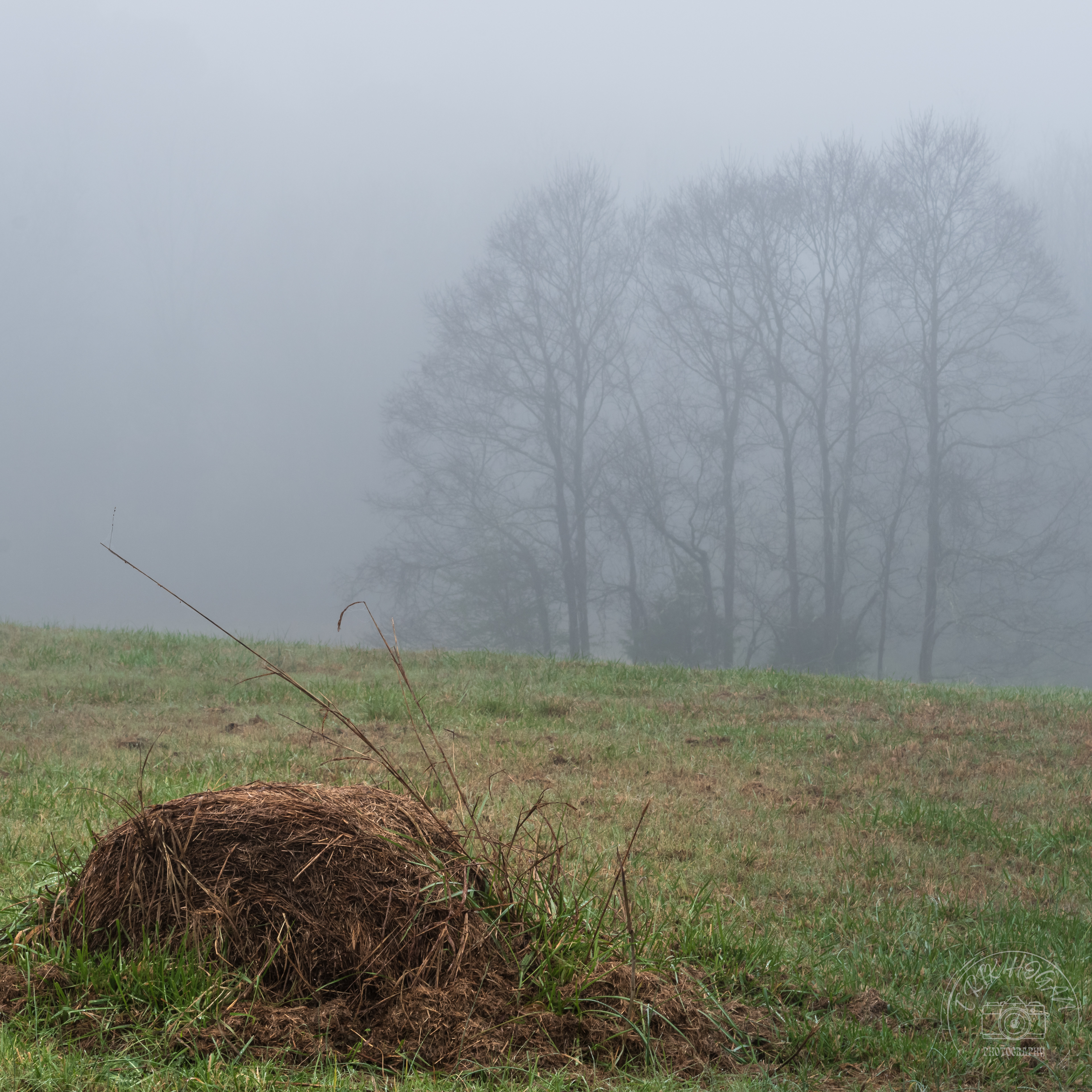 Athens Fog December 2023   VI
