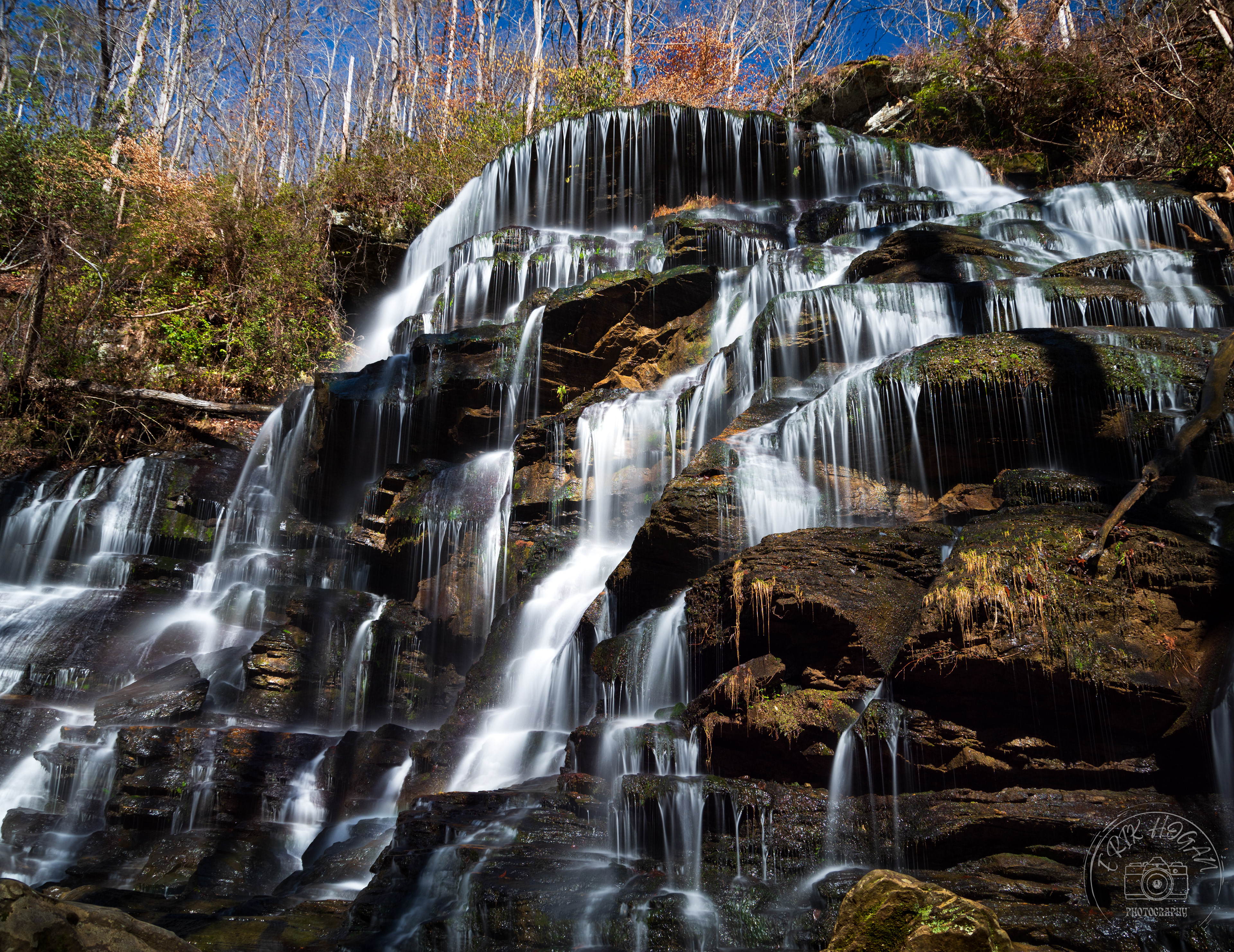 Yellow Branch Falls February 2023   II