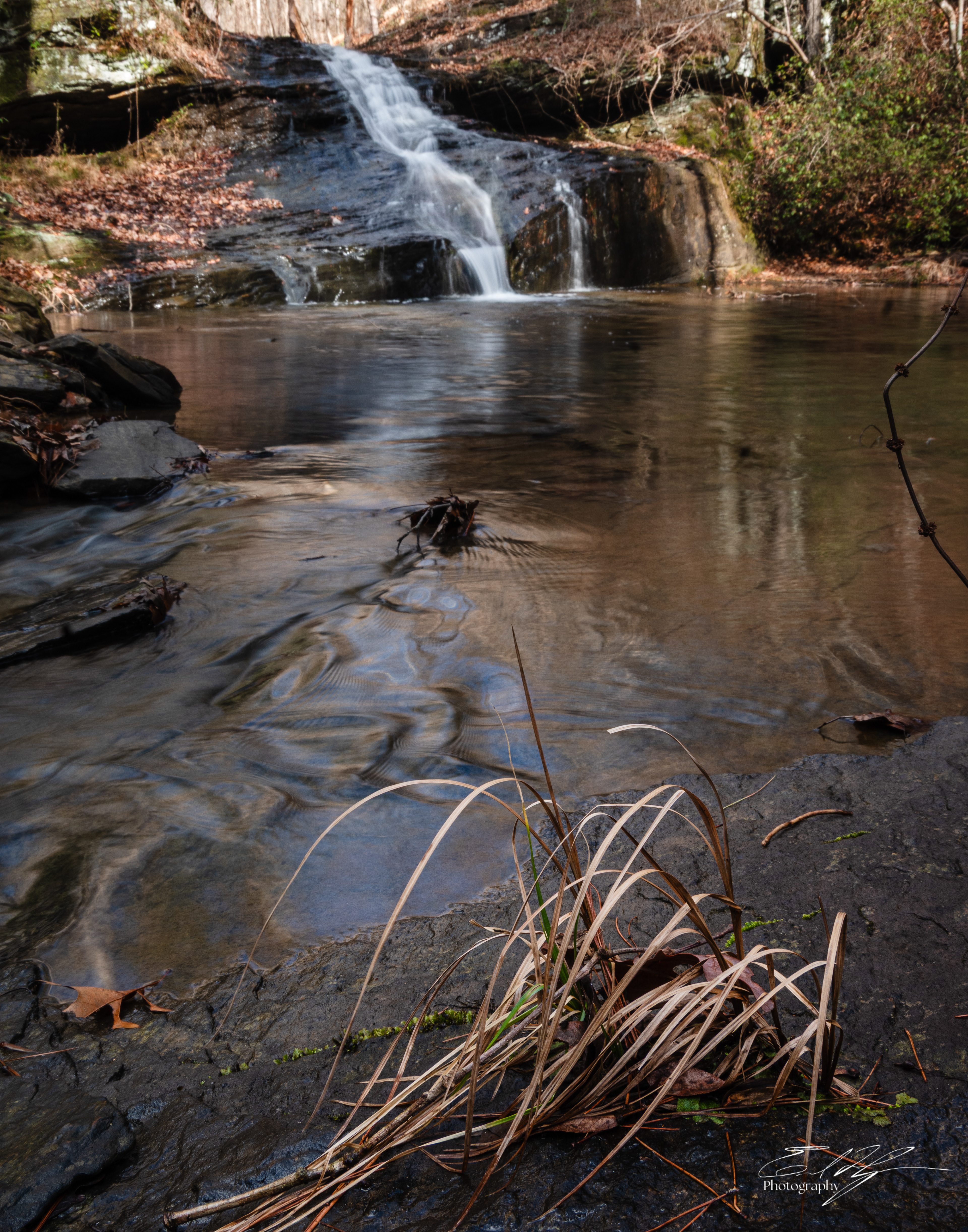 Romans Falls, Lake Russell WMA January 2026 II