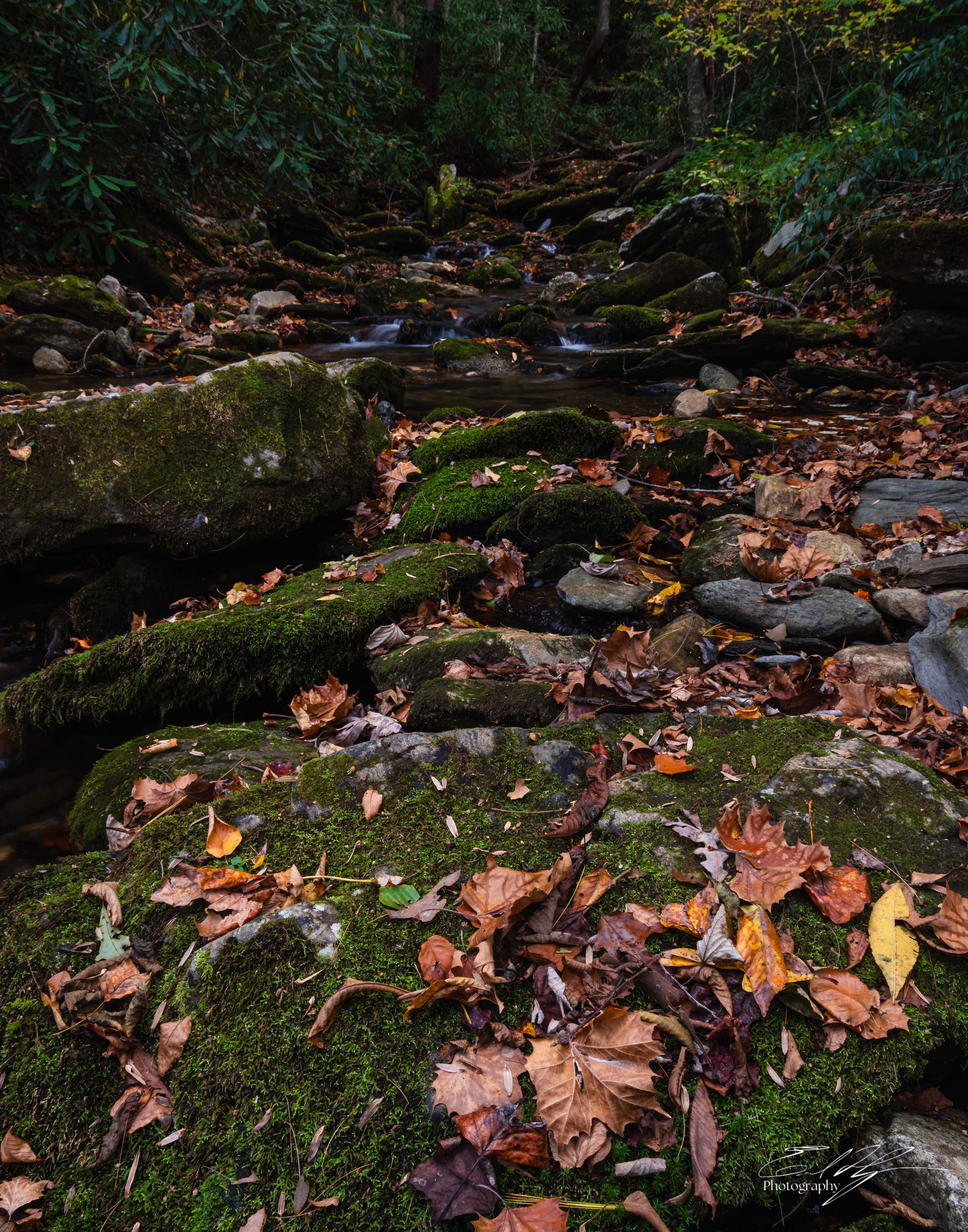 Day 6  Ledbetter Creek