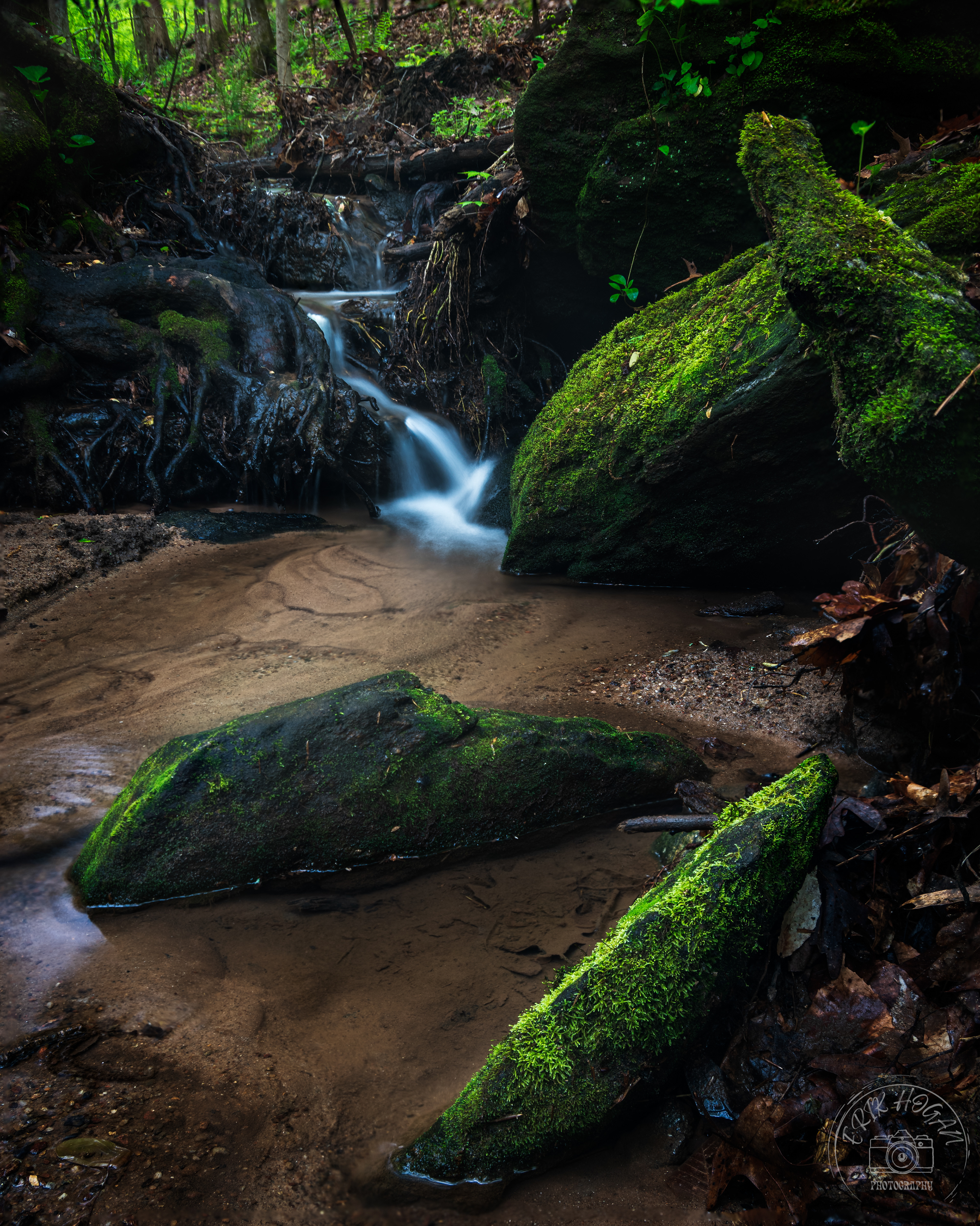 State Botanical Gardens of Georgia April 2023   I