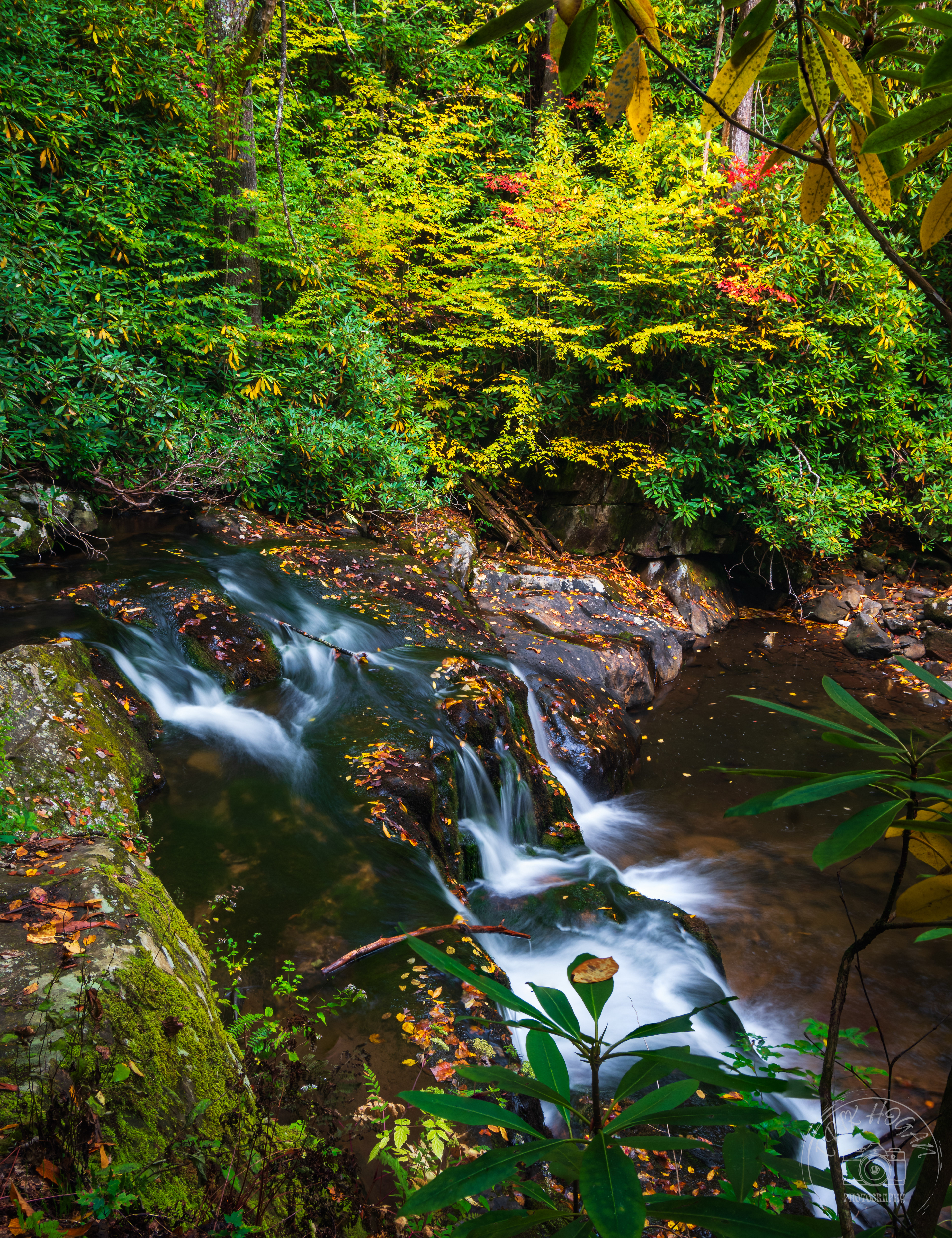 Moccasin Creek October 2023   IV 