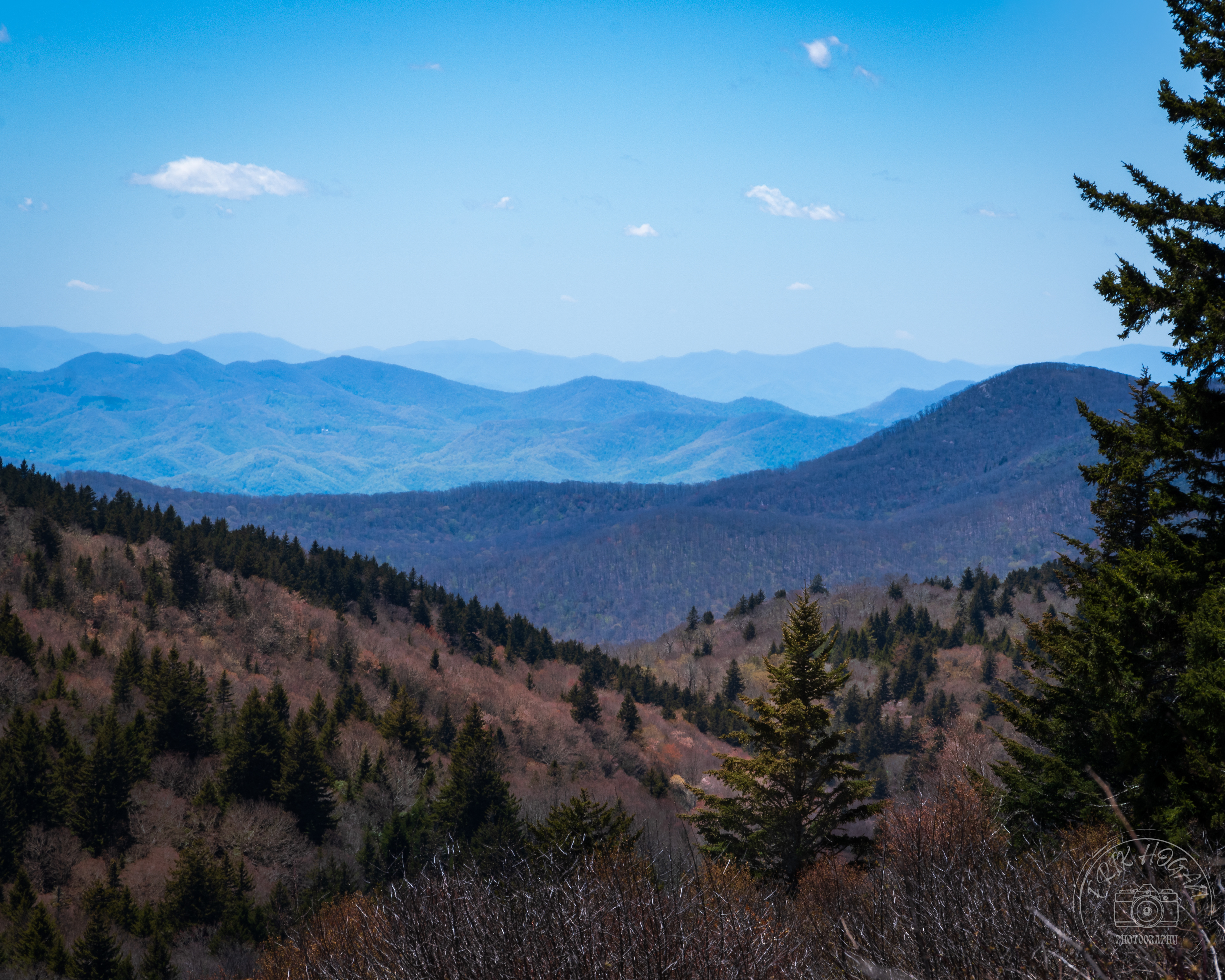 Middle Prong Wilderness May 2023   I