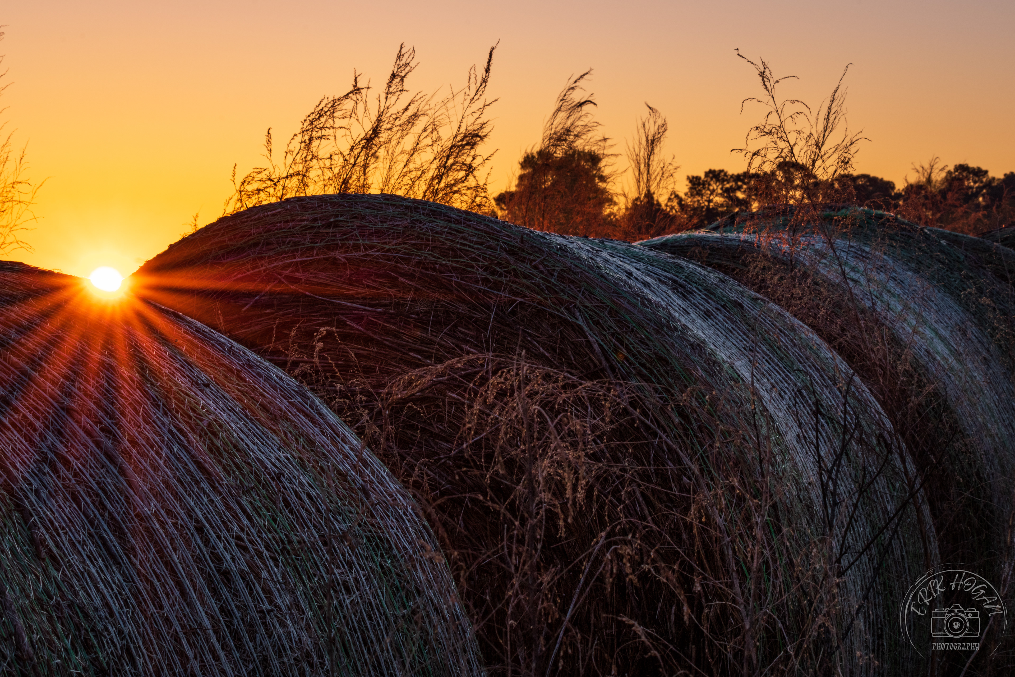 Old Elberton Rd Sunrise March 2023