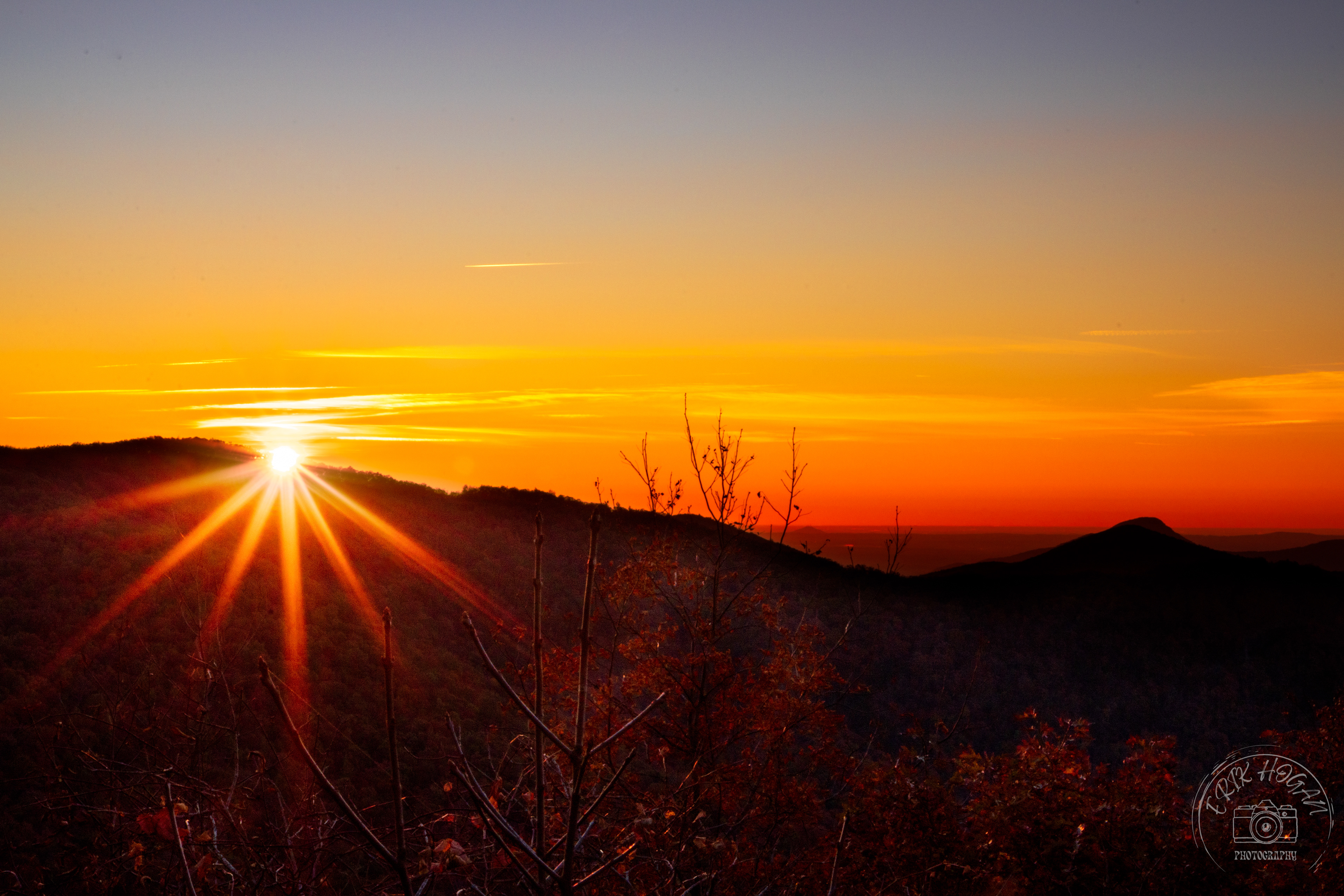 Wolf Laurel Top October 2022   IX