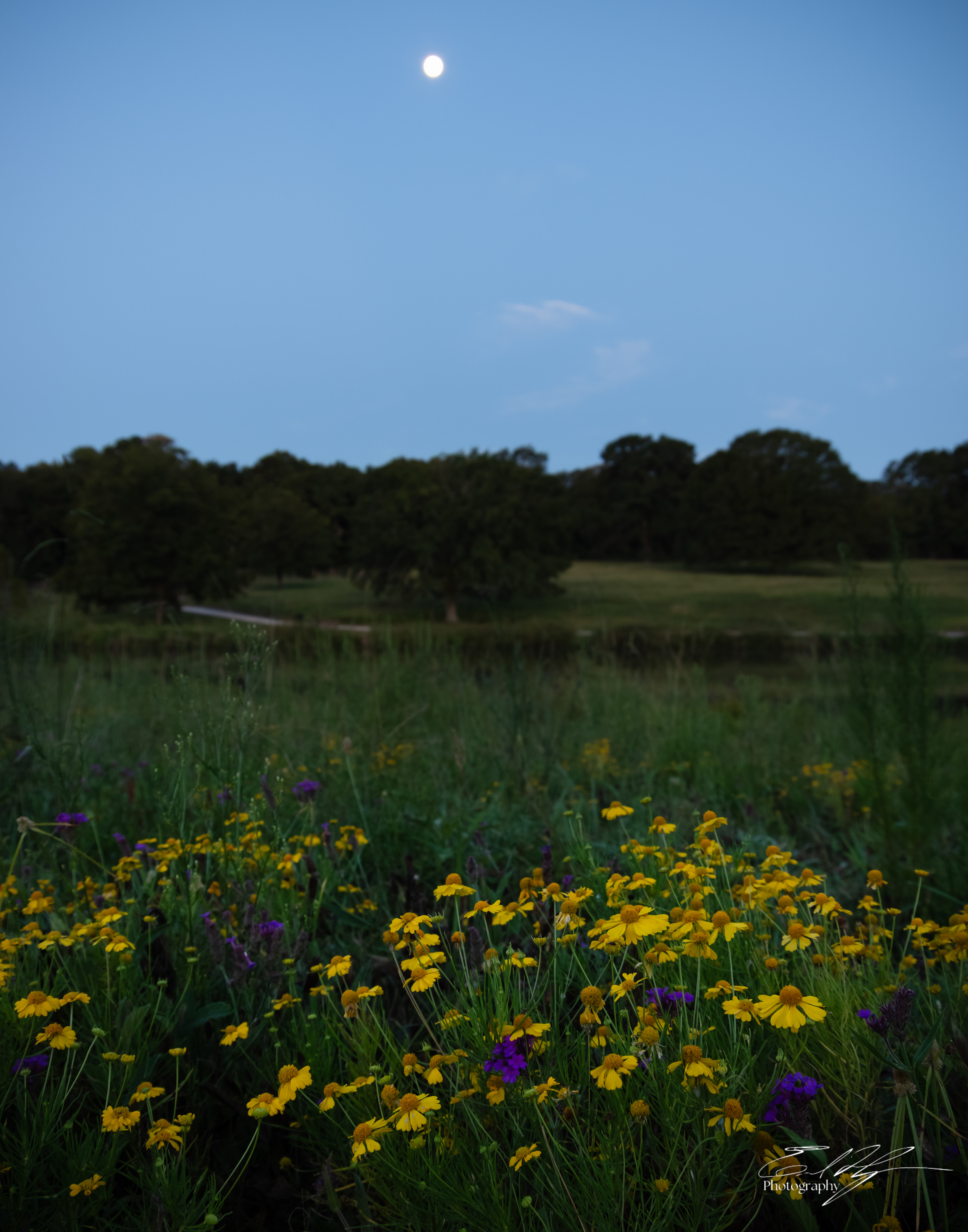 Thomas Farm Preserve September 2025  I