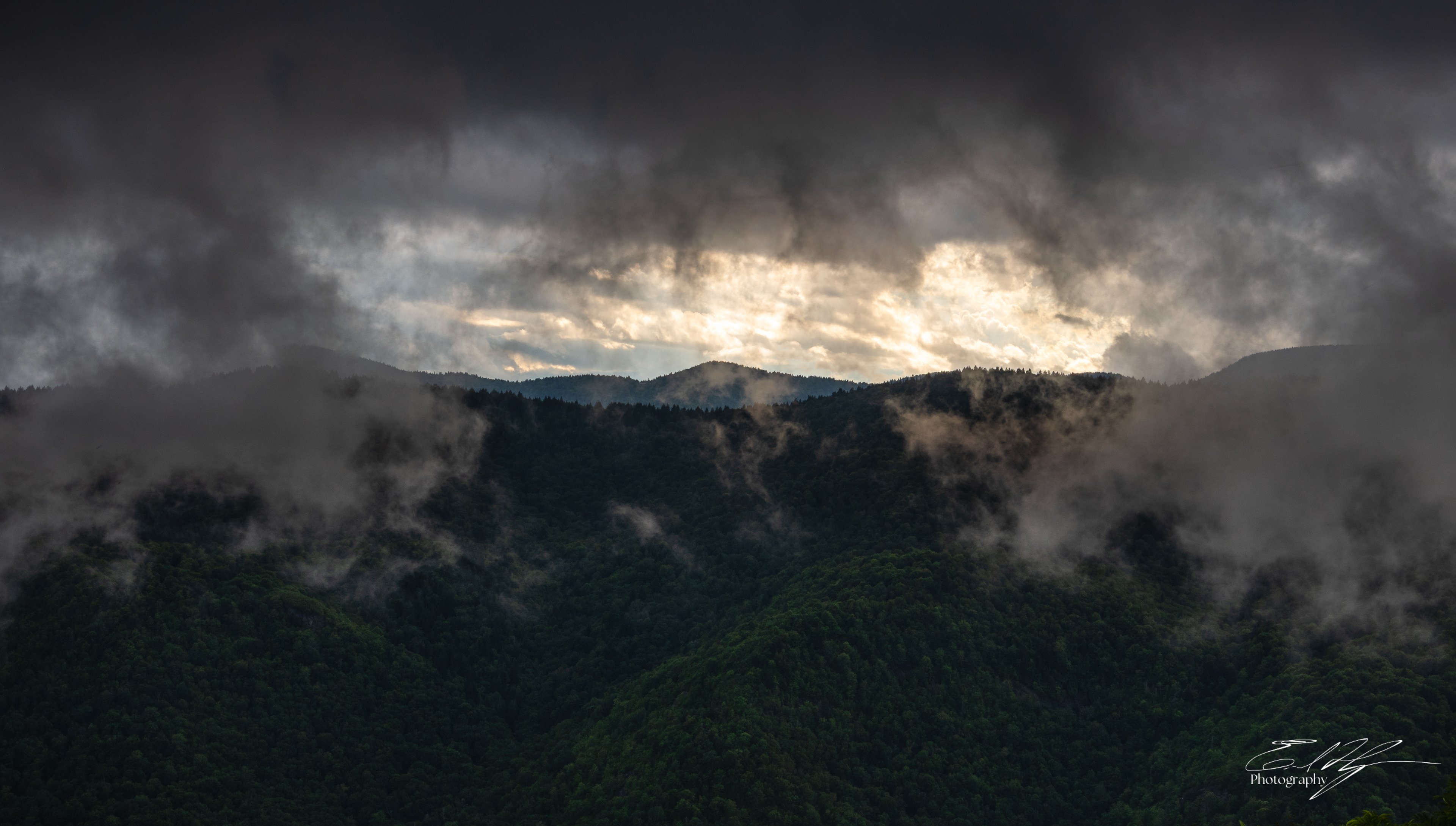 Sam Knob August 2025 VI