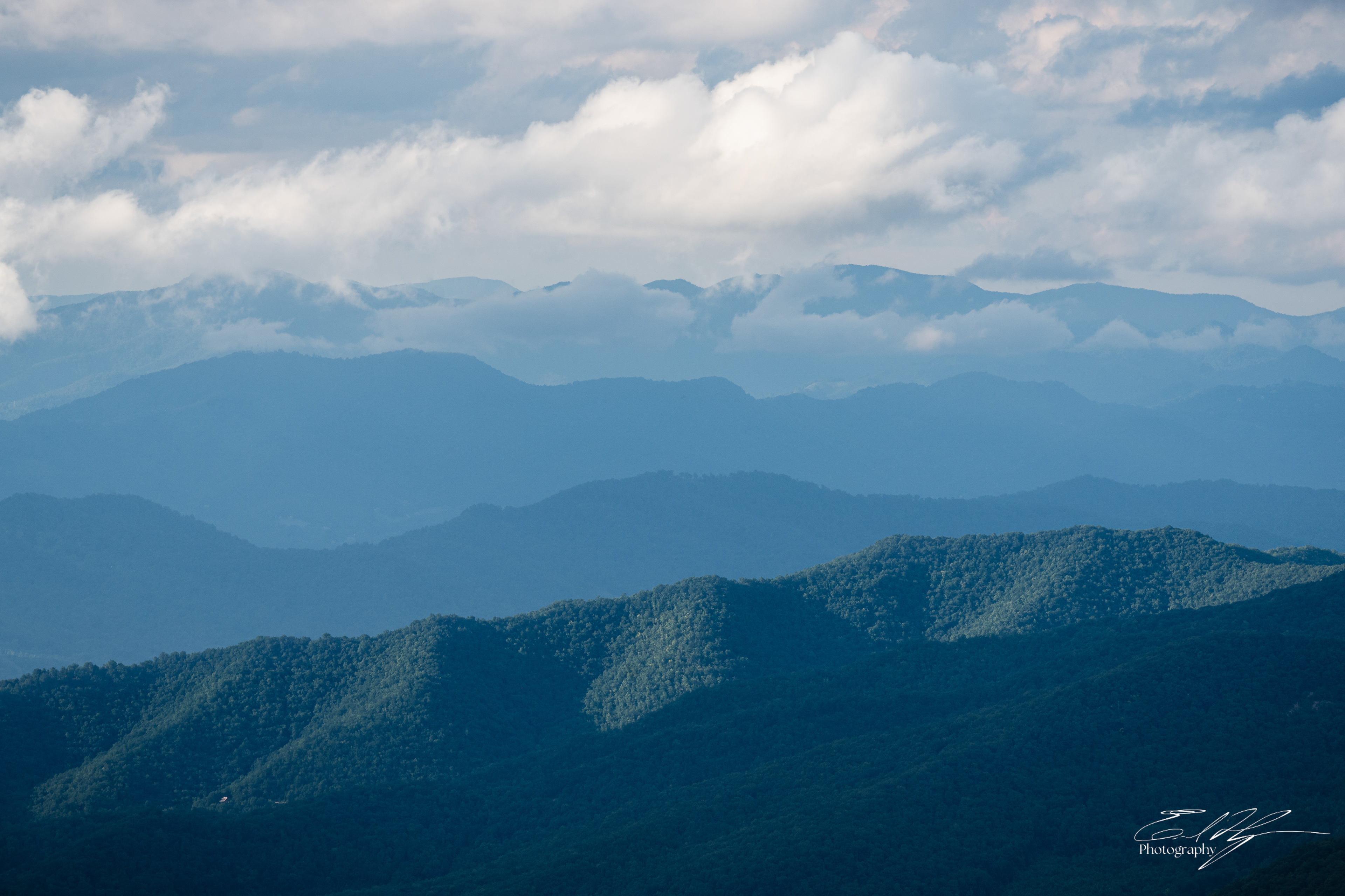 Sam Knob August 2025 XI