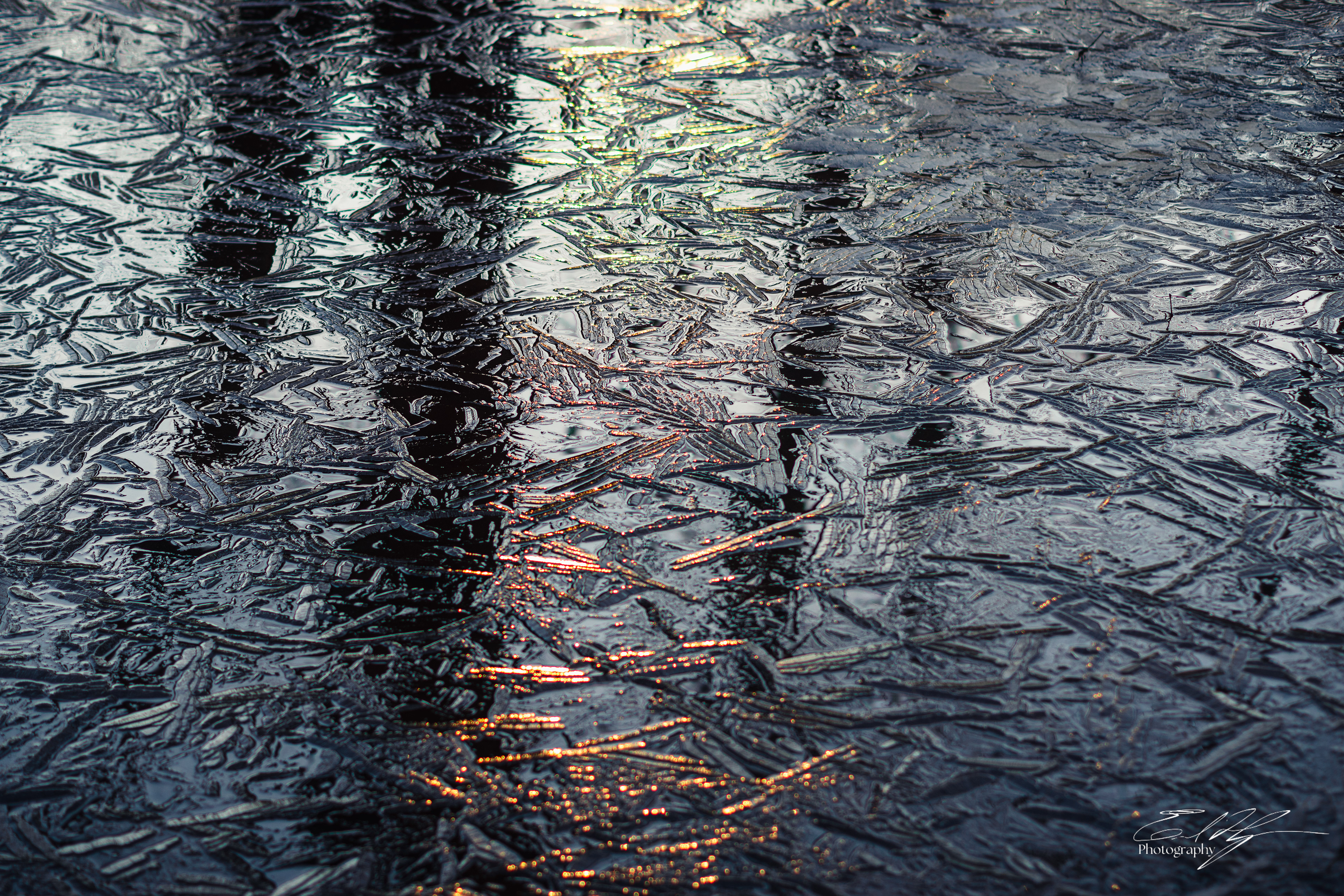 Sandy Creek Ice Portrait   III