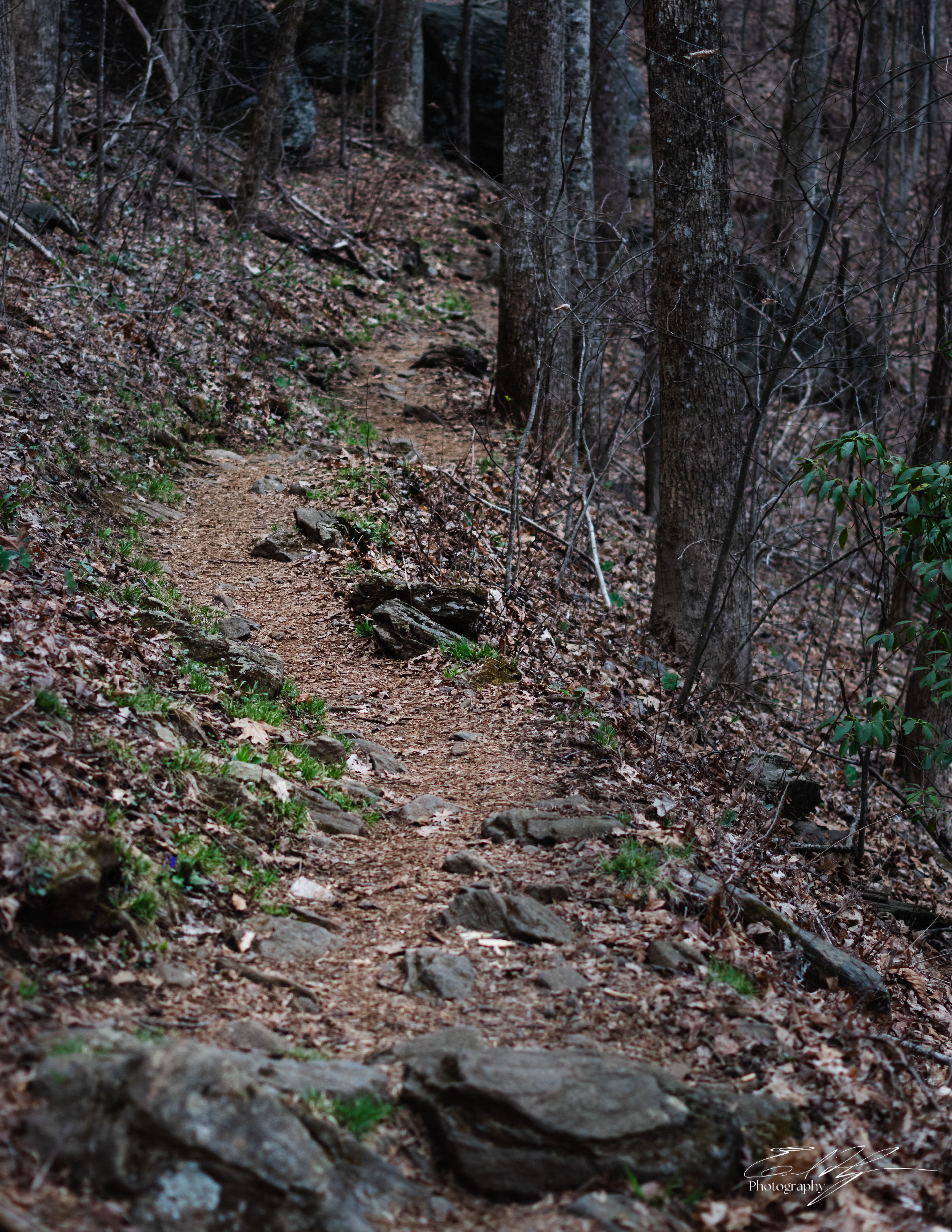 Appalachian Trail 2025   IX