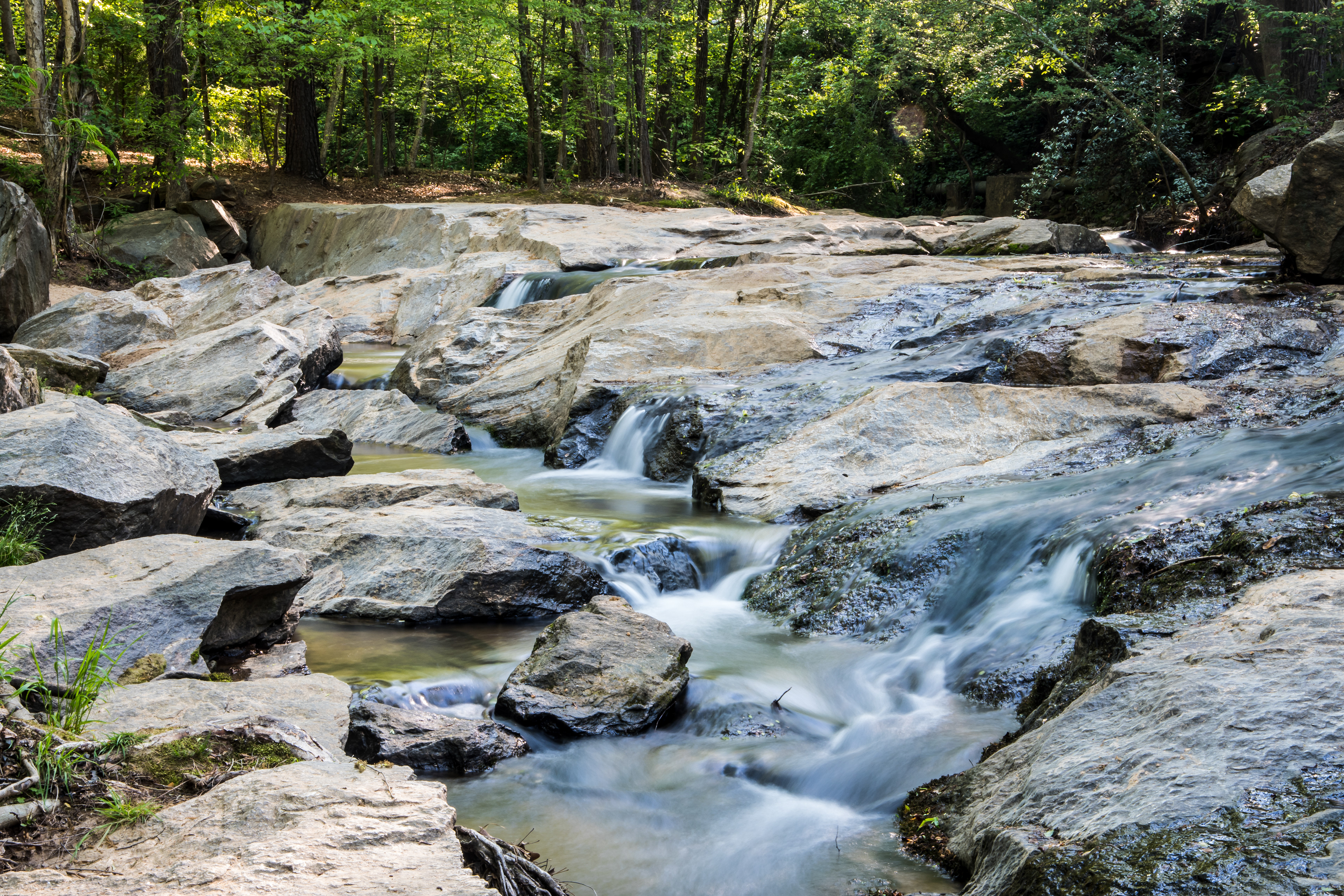 Ben Burton Park April 2021   II