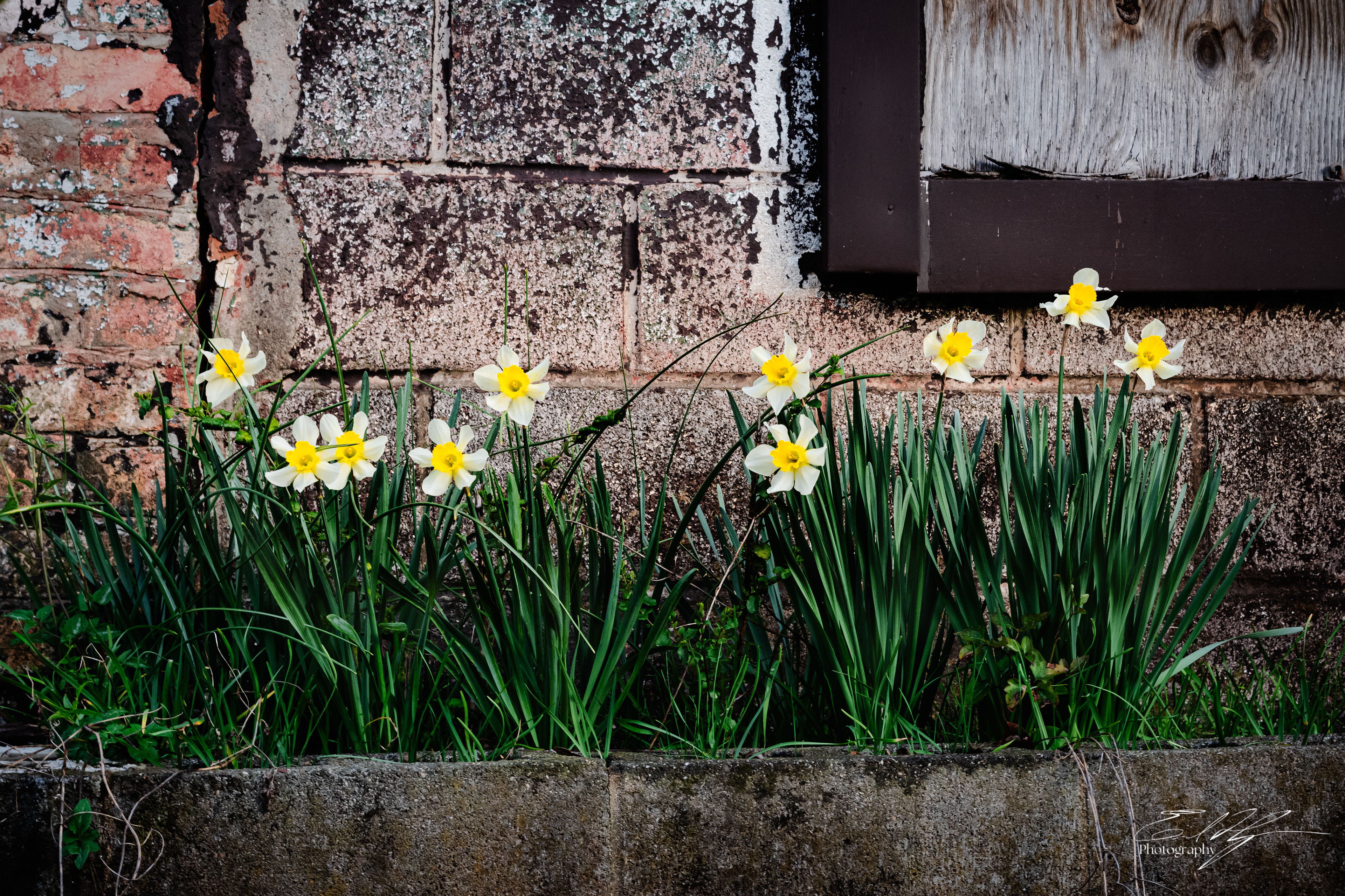 Wabi Sabi Stoic March 2025   II