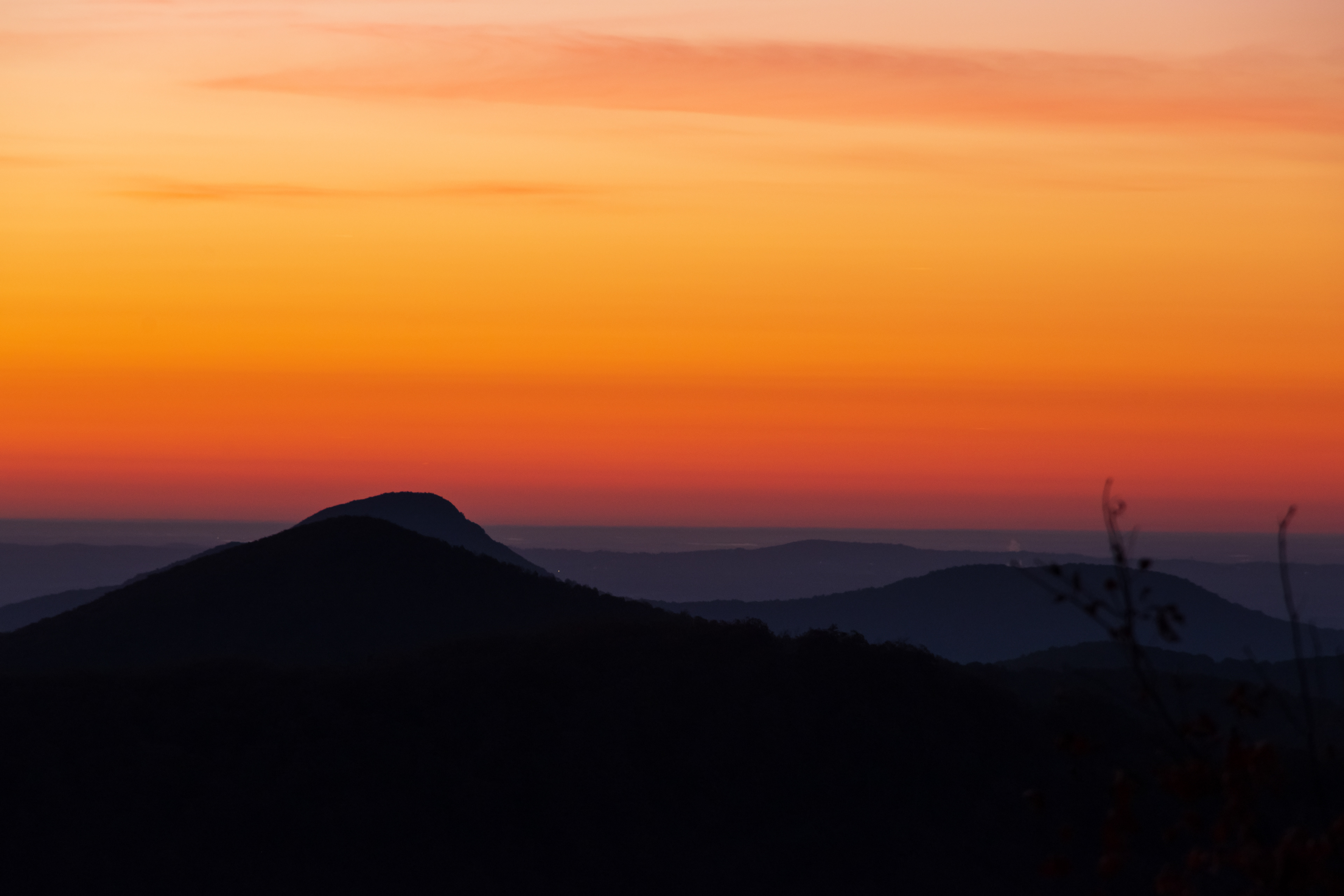 Wolf Laurel Top October 2022   VIII