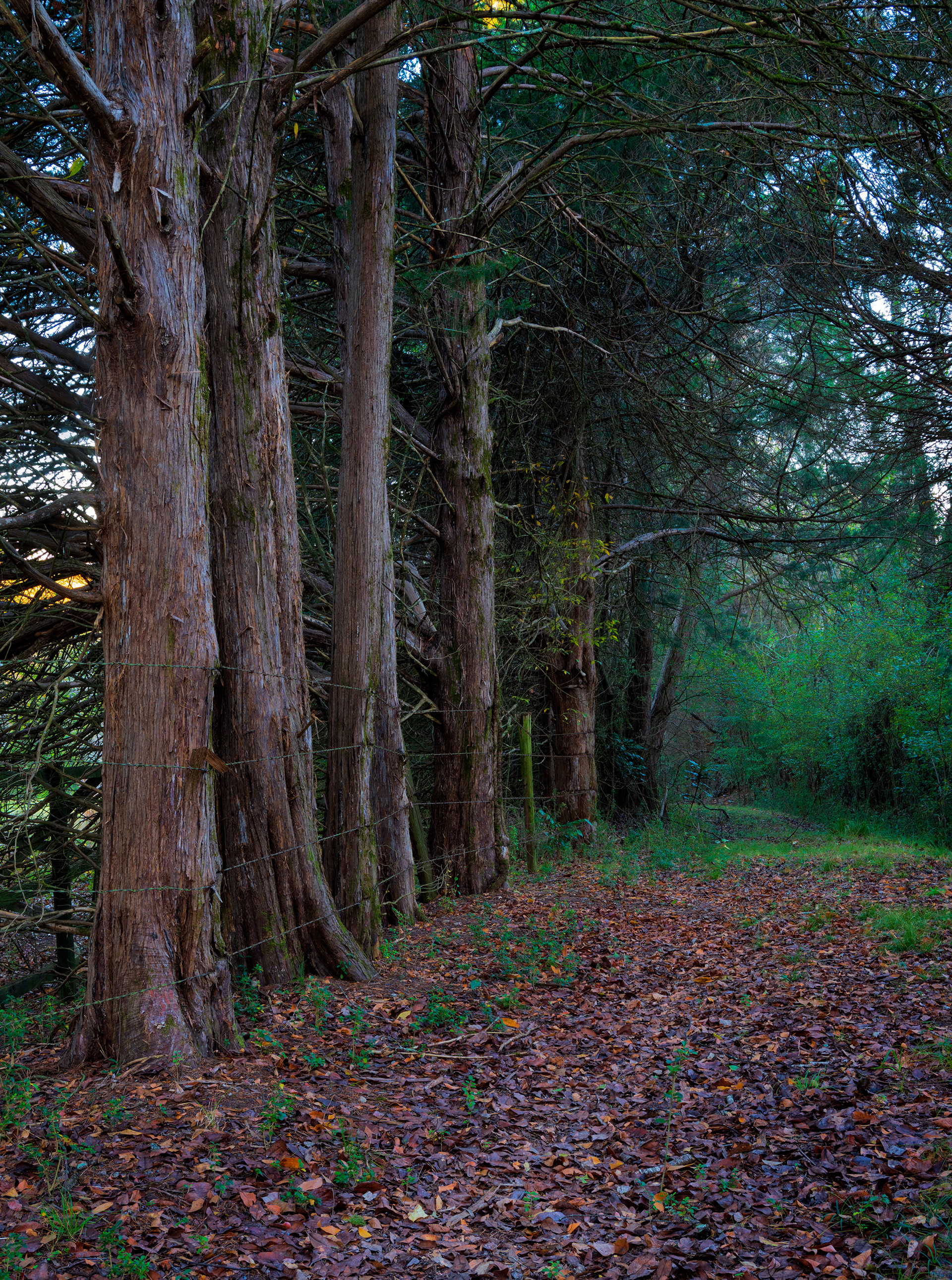 Nowhere Rd November 2021