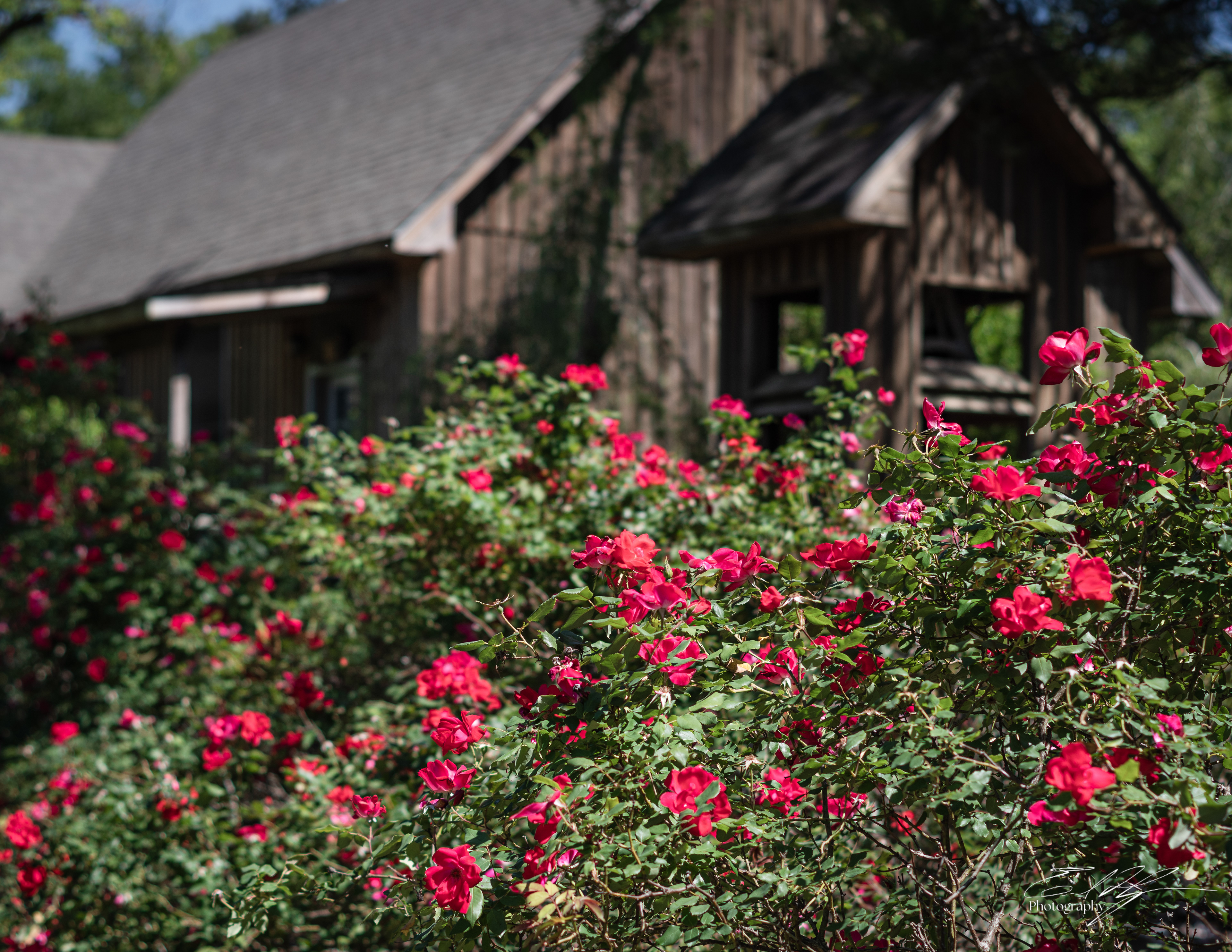 Green Bough House of Prayer April 2025   V