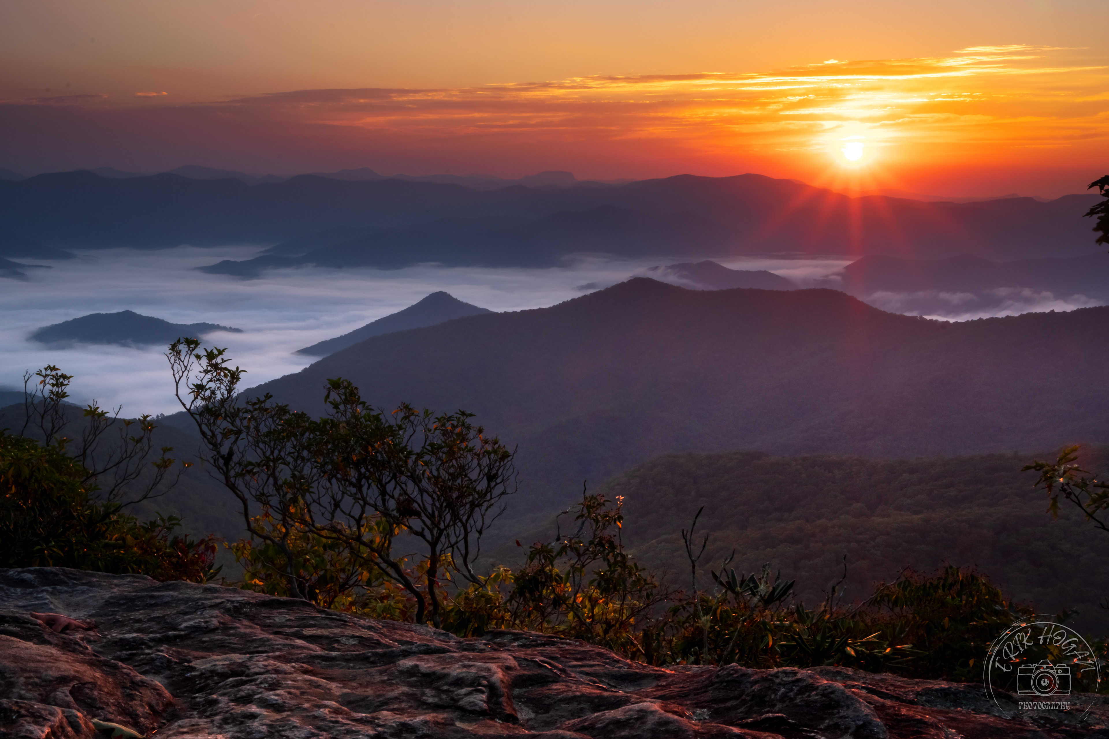Southern Nantahala NF September 2022   X