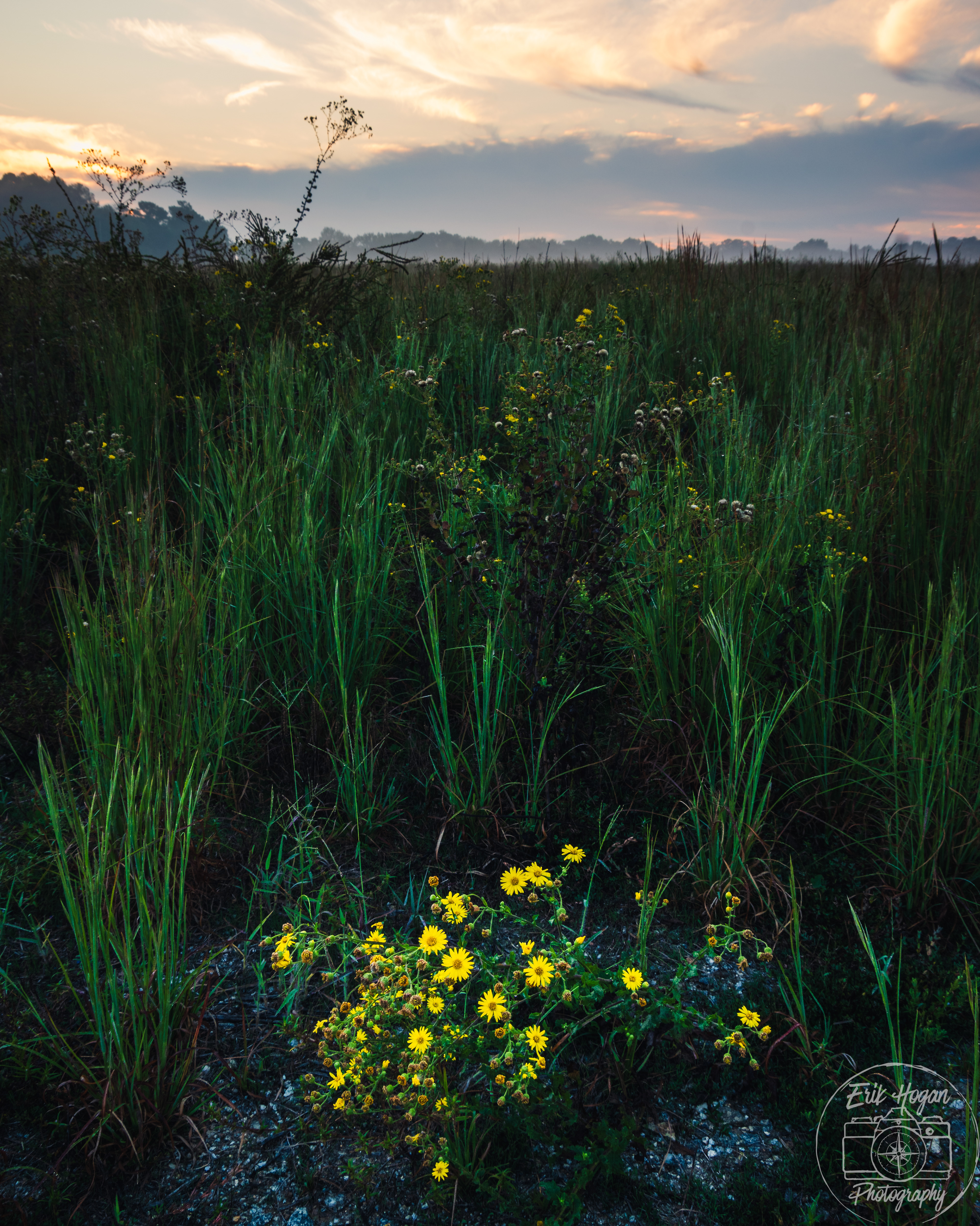 Boley Dr October 2024   IV