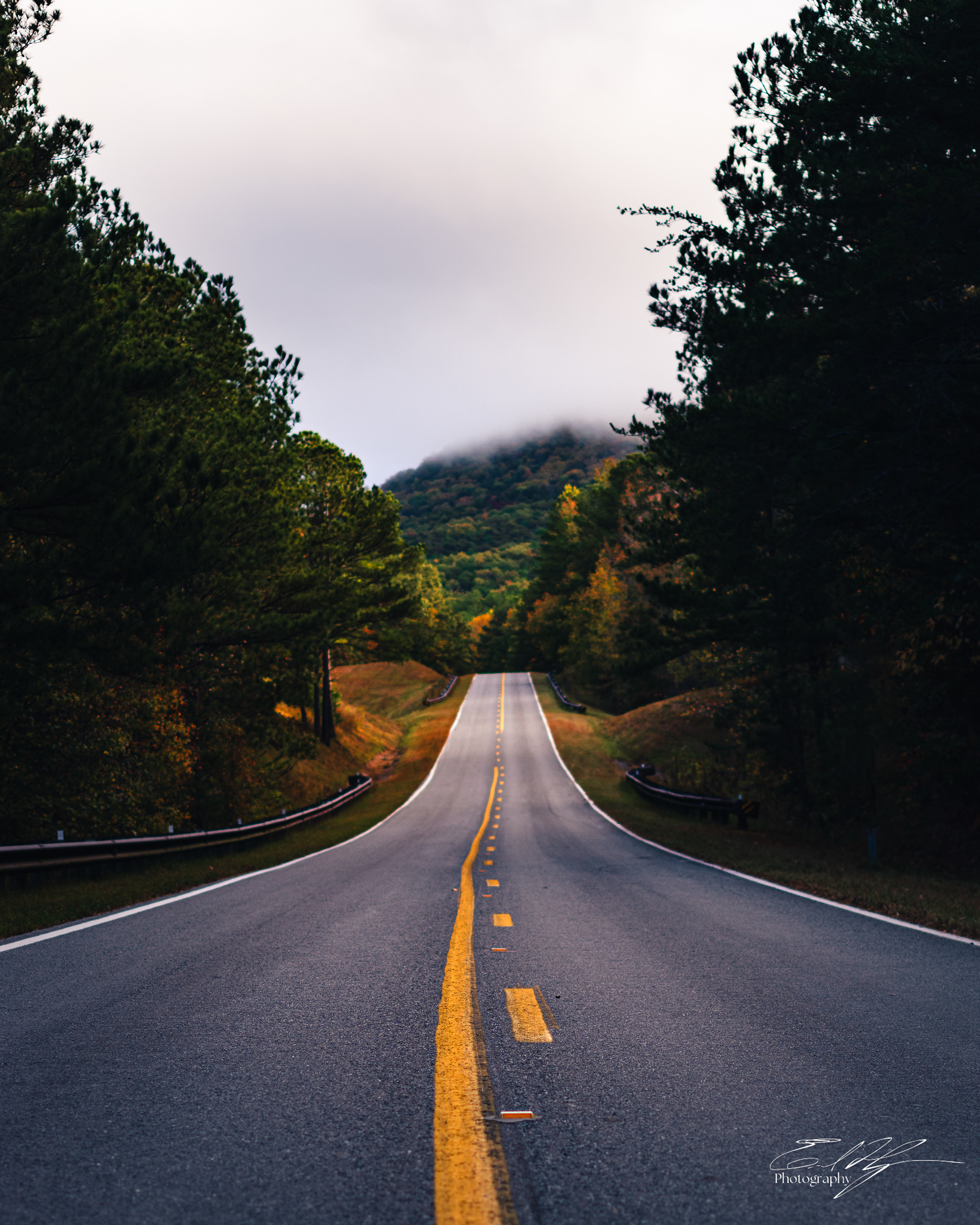 Pin-Chin-Sky Loop November 2024   XX