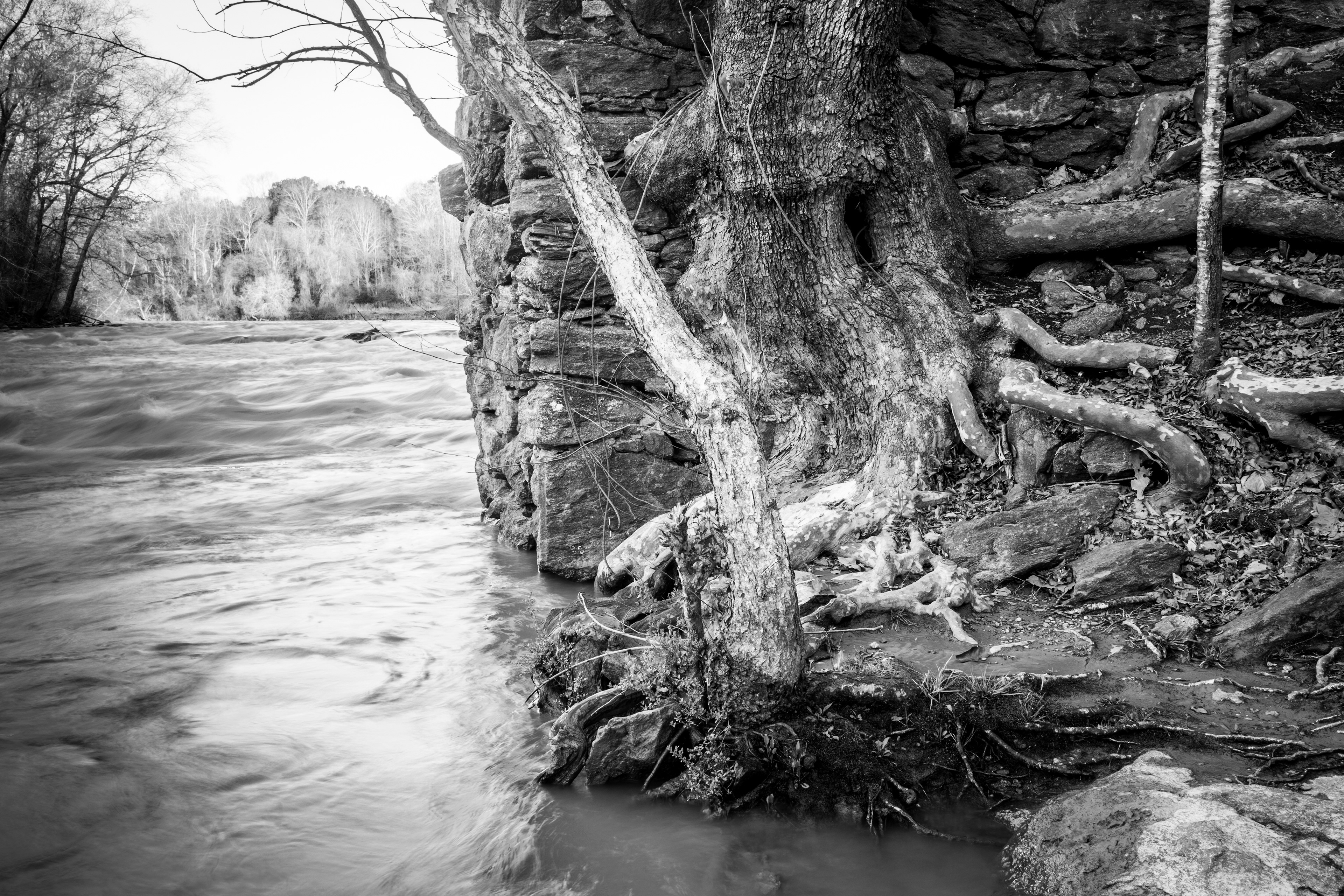 Ben Burton Park March 2021