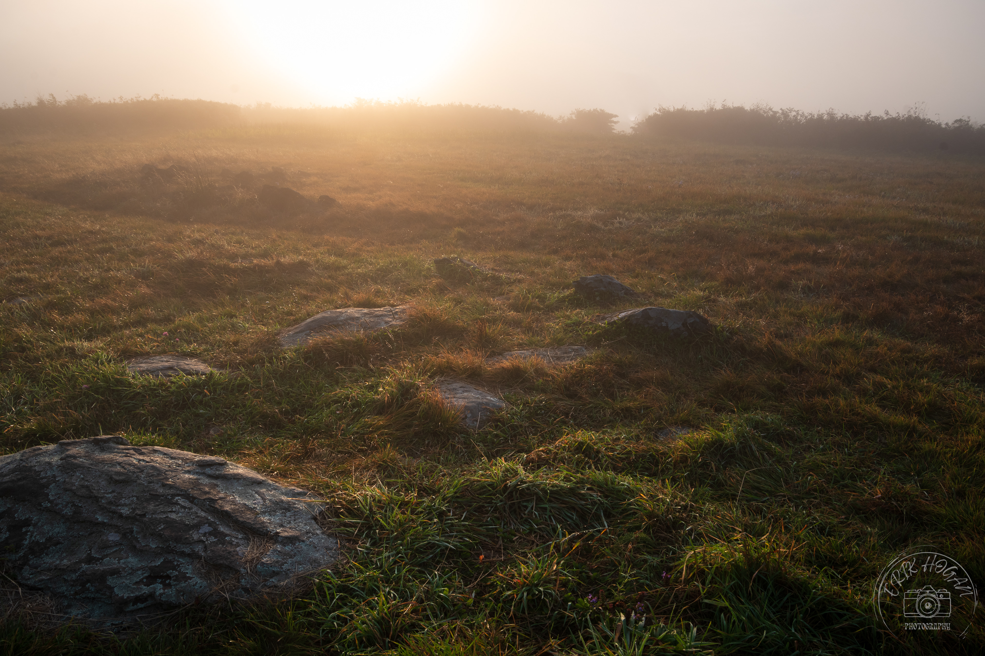 Gregory Bald September 2023   X