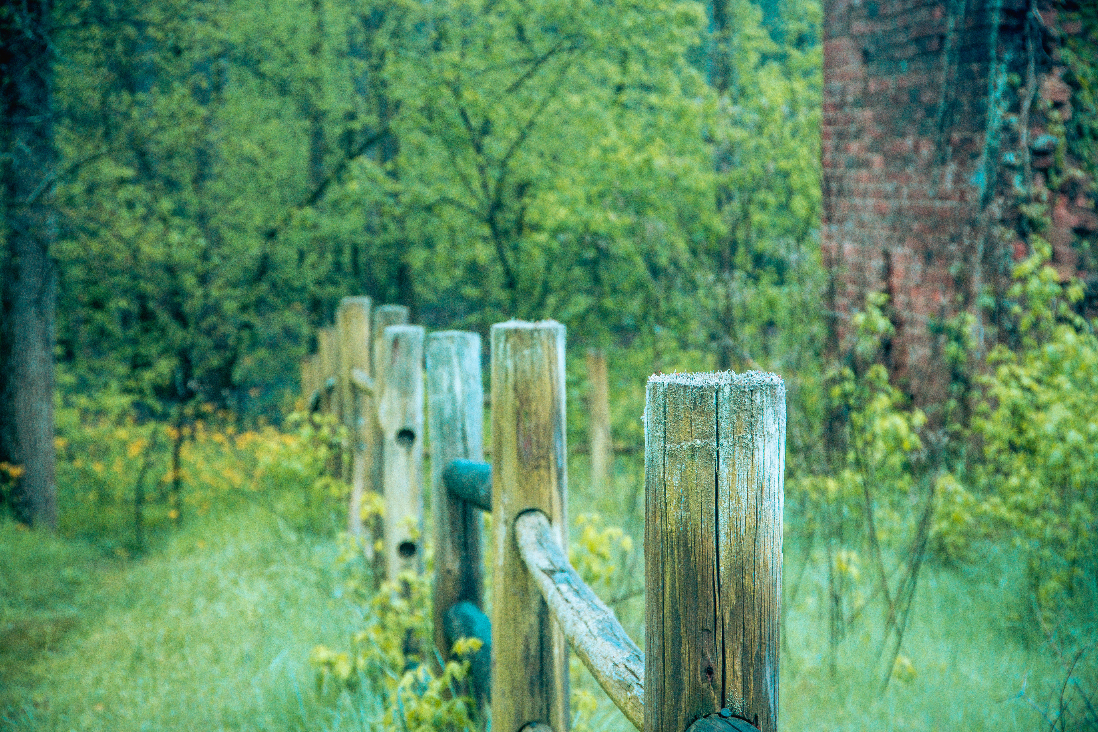 Scull Shoals April 2021   V