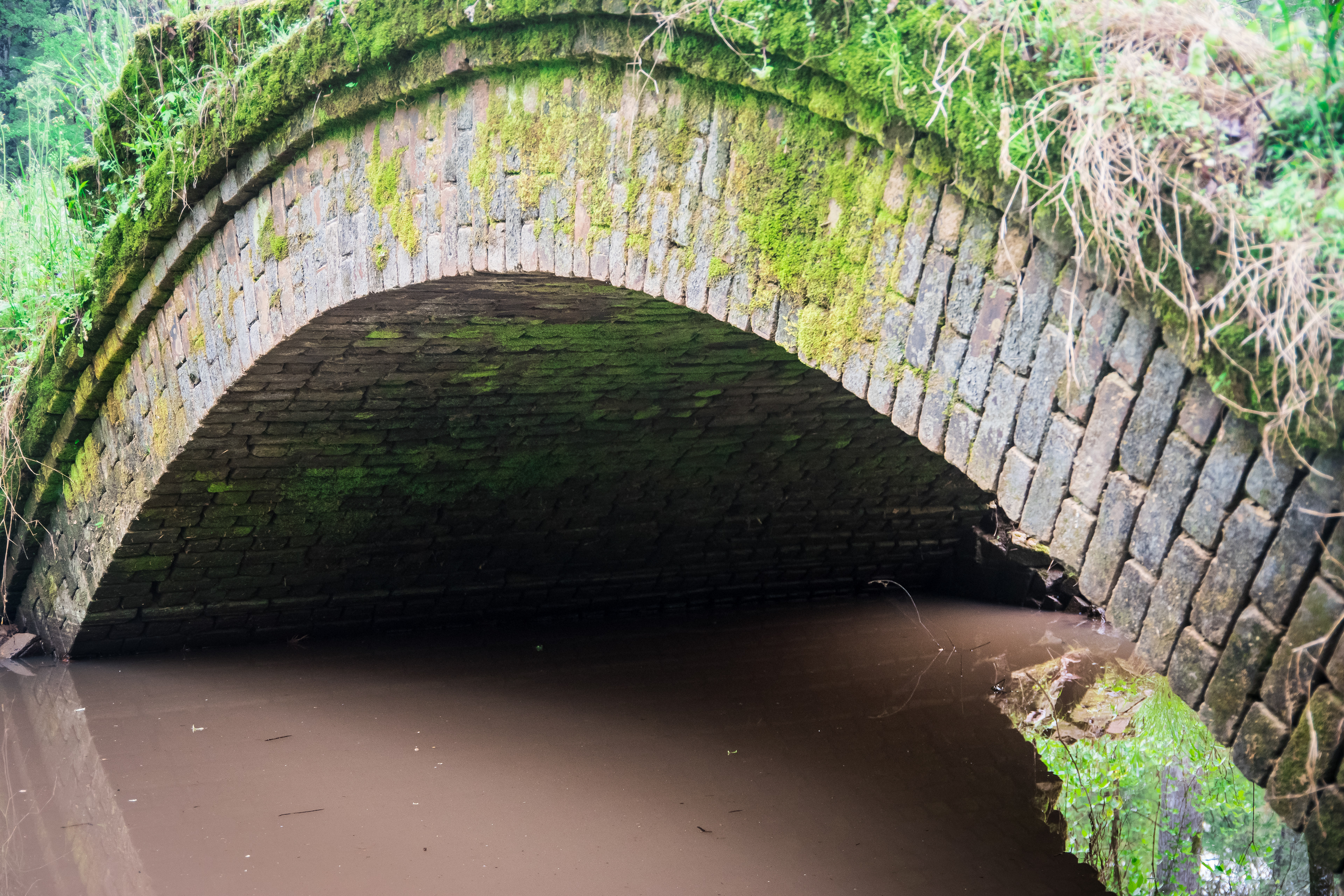 Scull Shoals April 2021   II