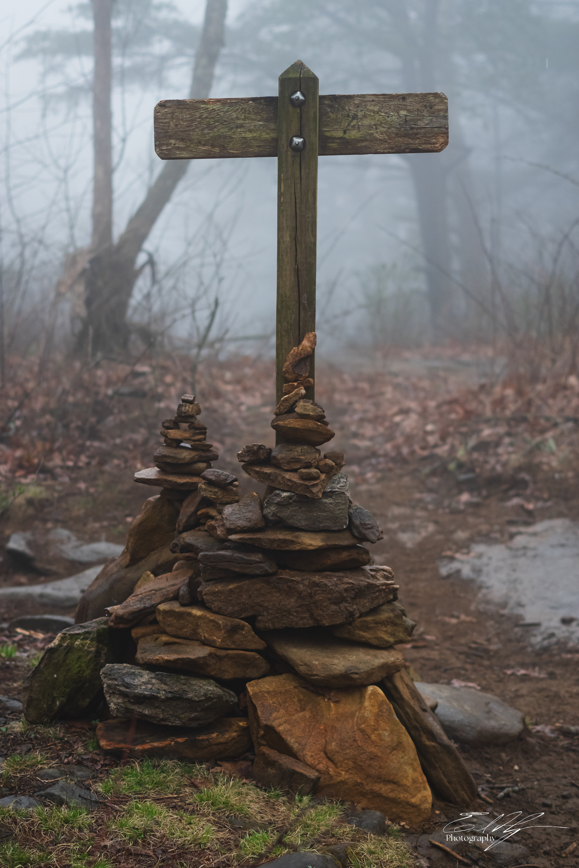 Early Spring 2025   IV