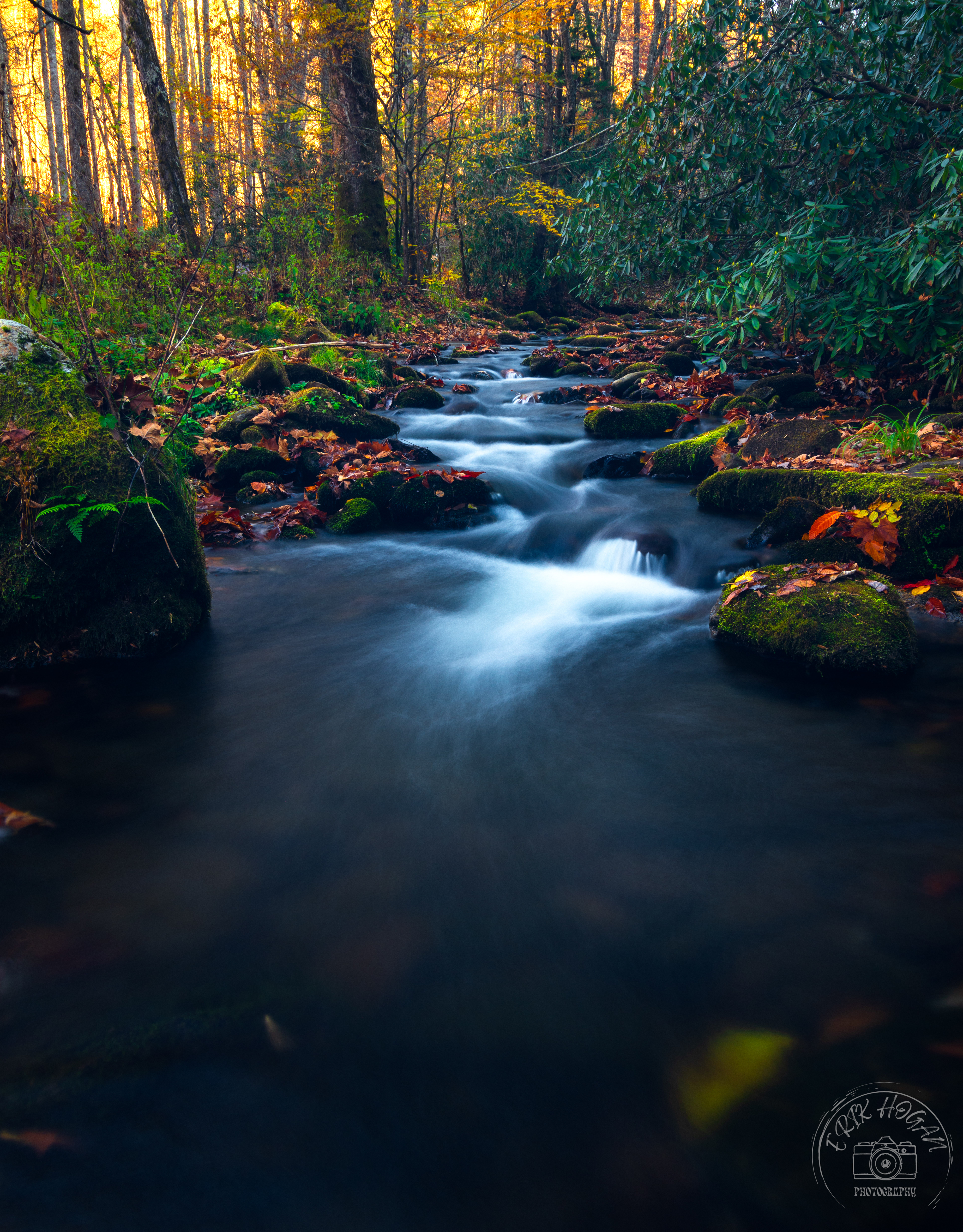 Cataloochee Valley October 2022   XII