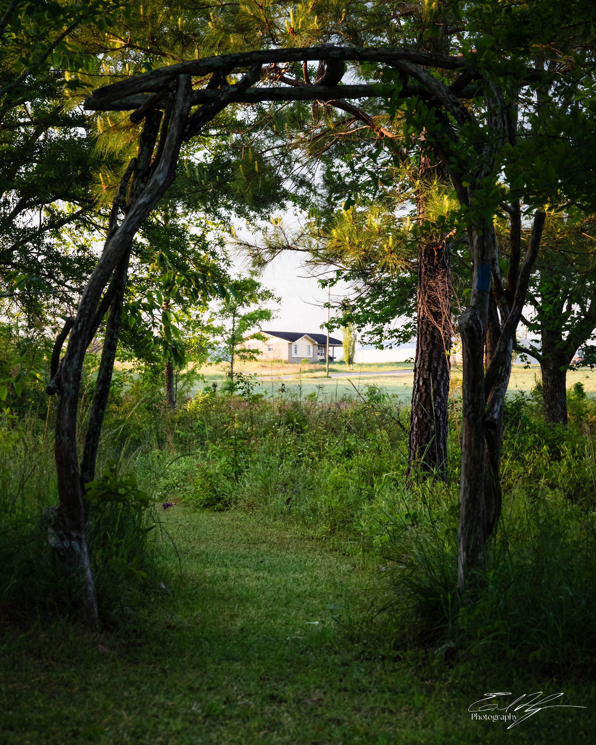 Green Bough House of Prayer April 2025   XII