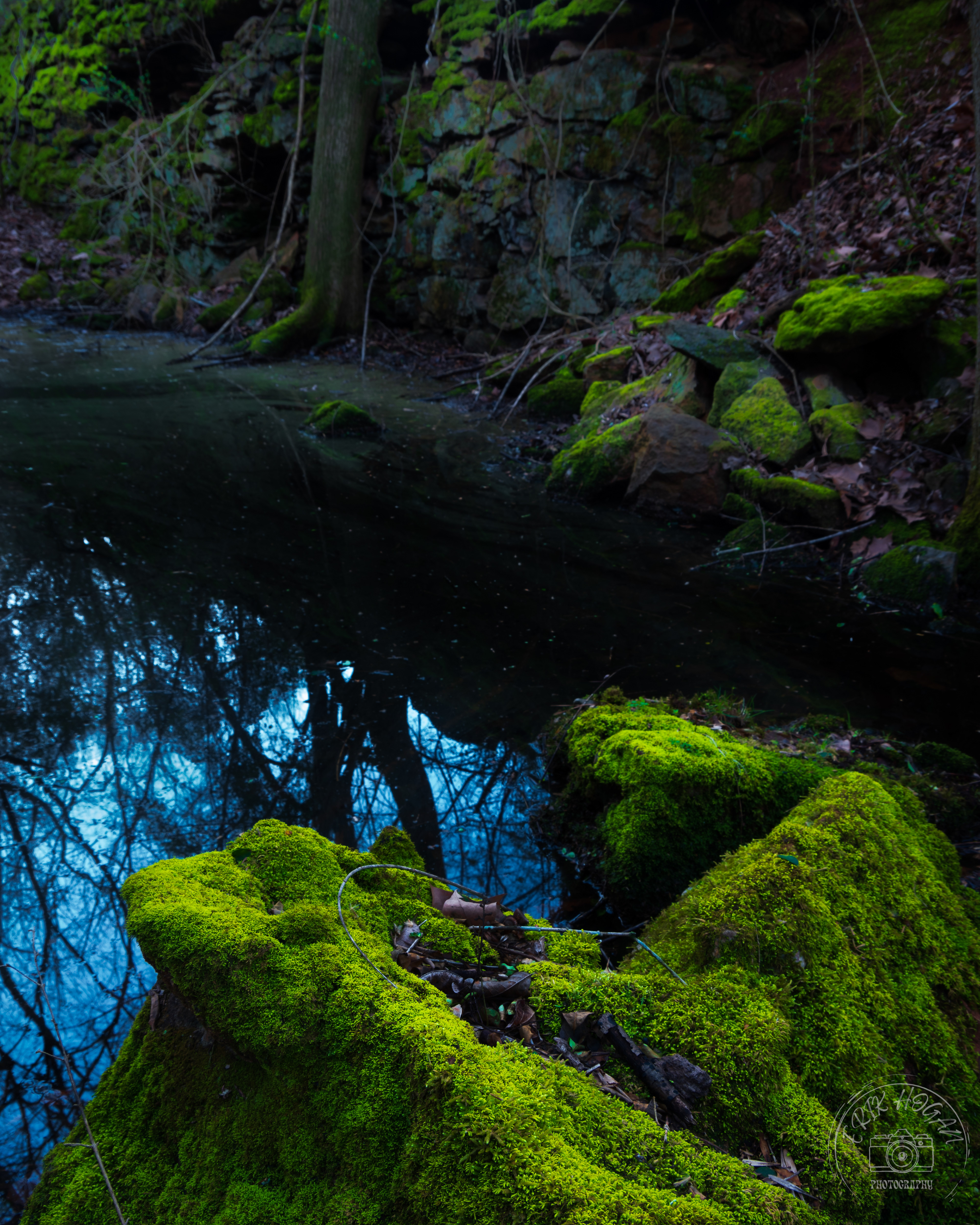 South Milledge February 2023