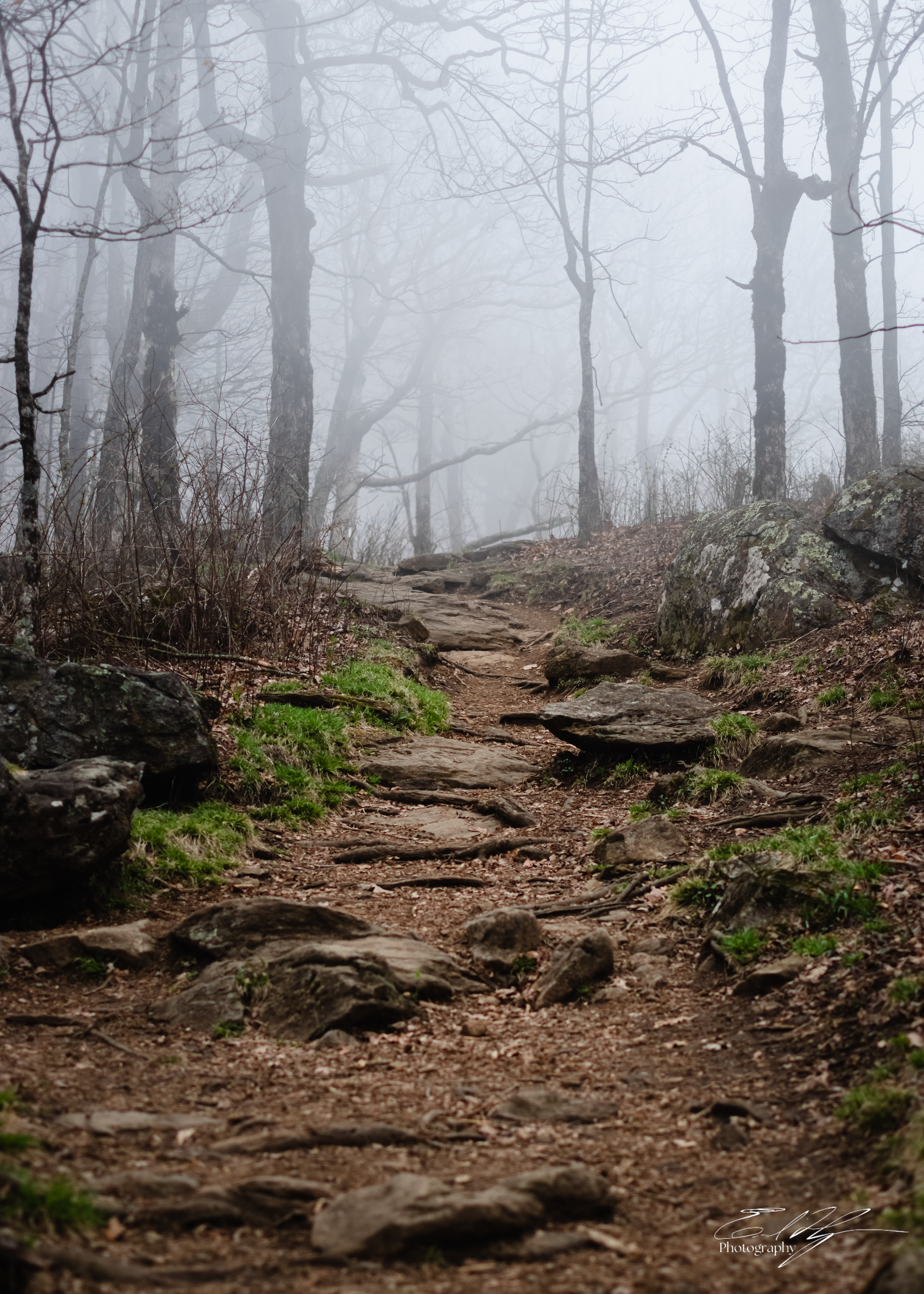 Appalachian Trail 2025   XI