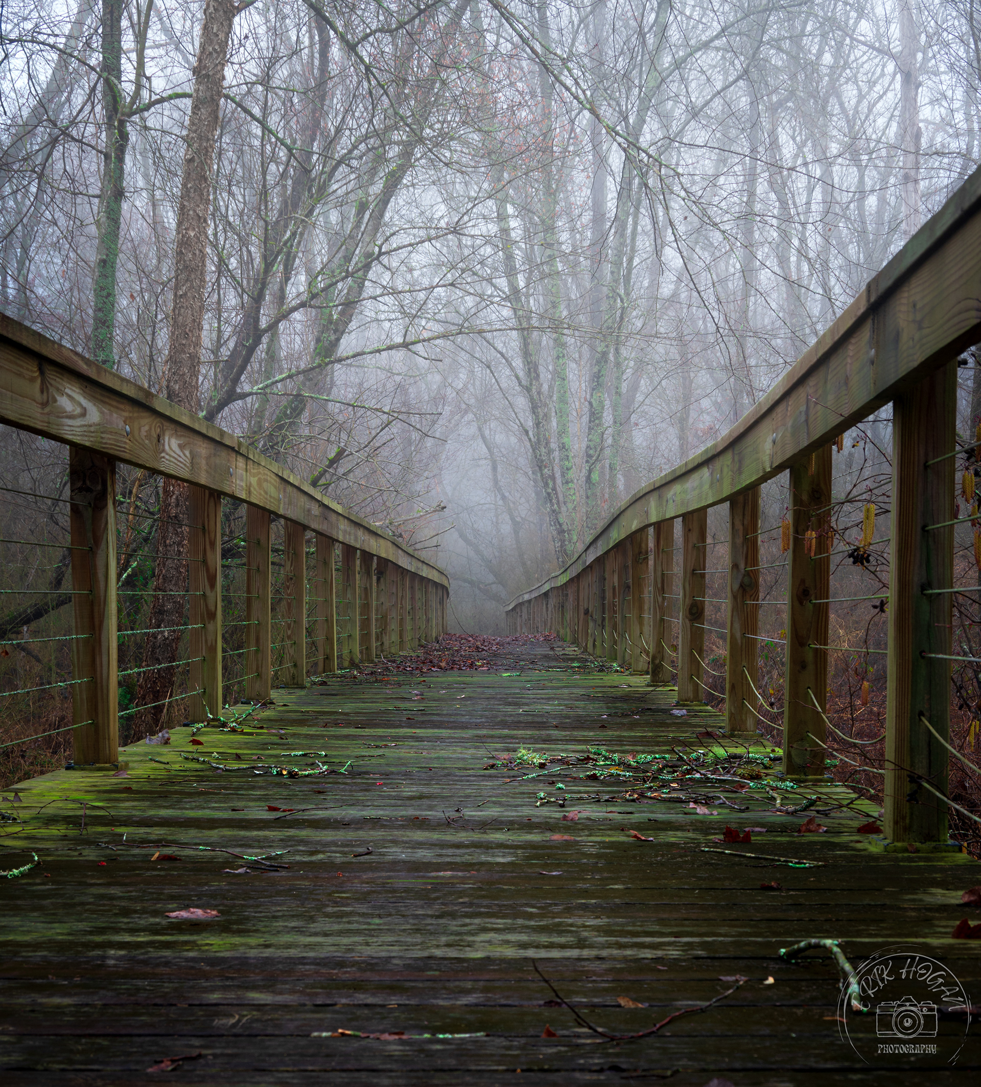 Cook's Trail January 2023 II