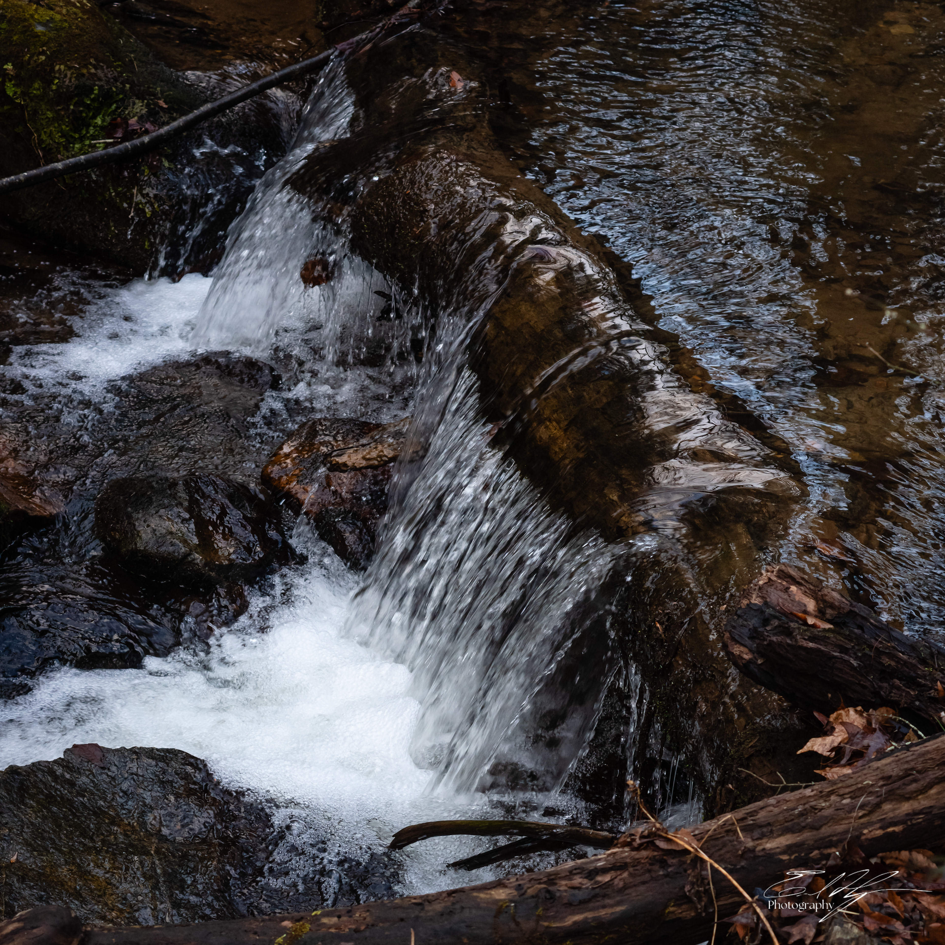 Camp Creek February 2026 II