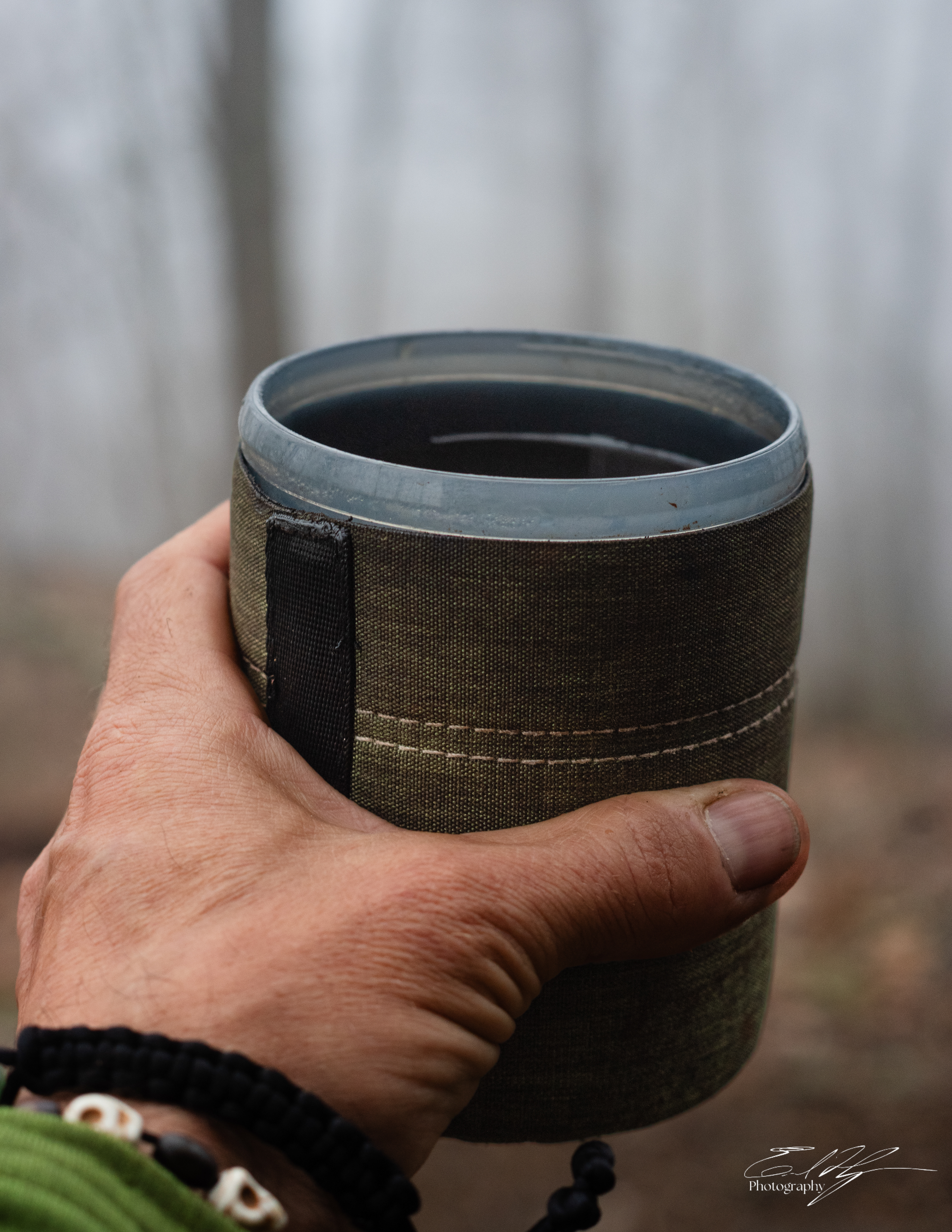 Early Spring 2025   XIX